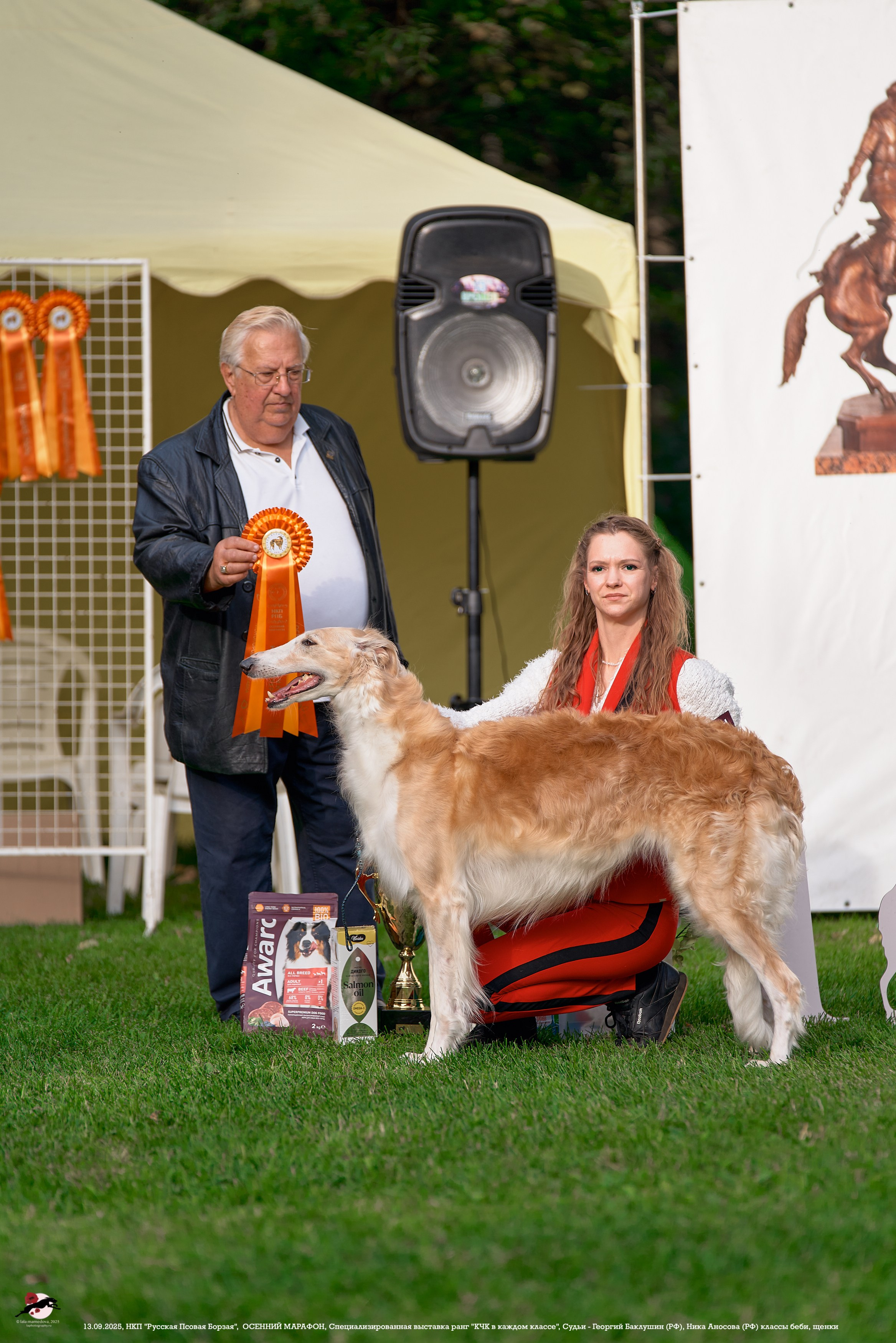 ОСЕННИЙ МАРАФОН | Специализированная выставка породы Русская Псовая Борзая ранг "КЧК в каждом классе"