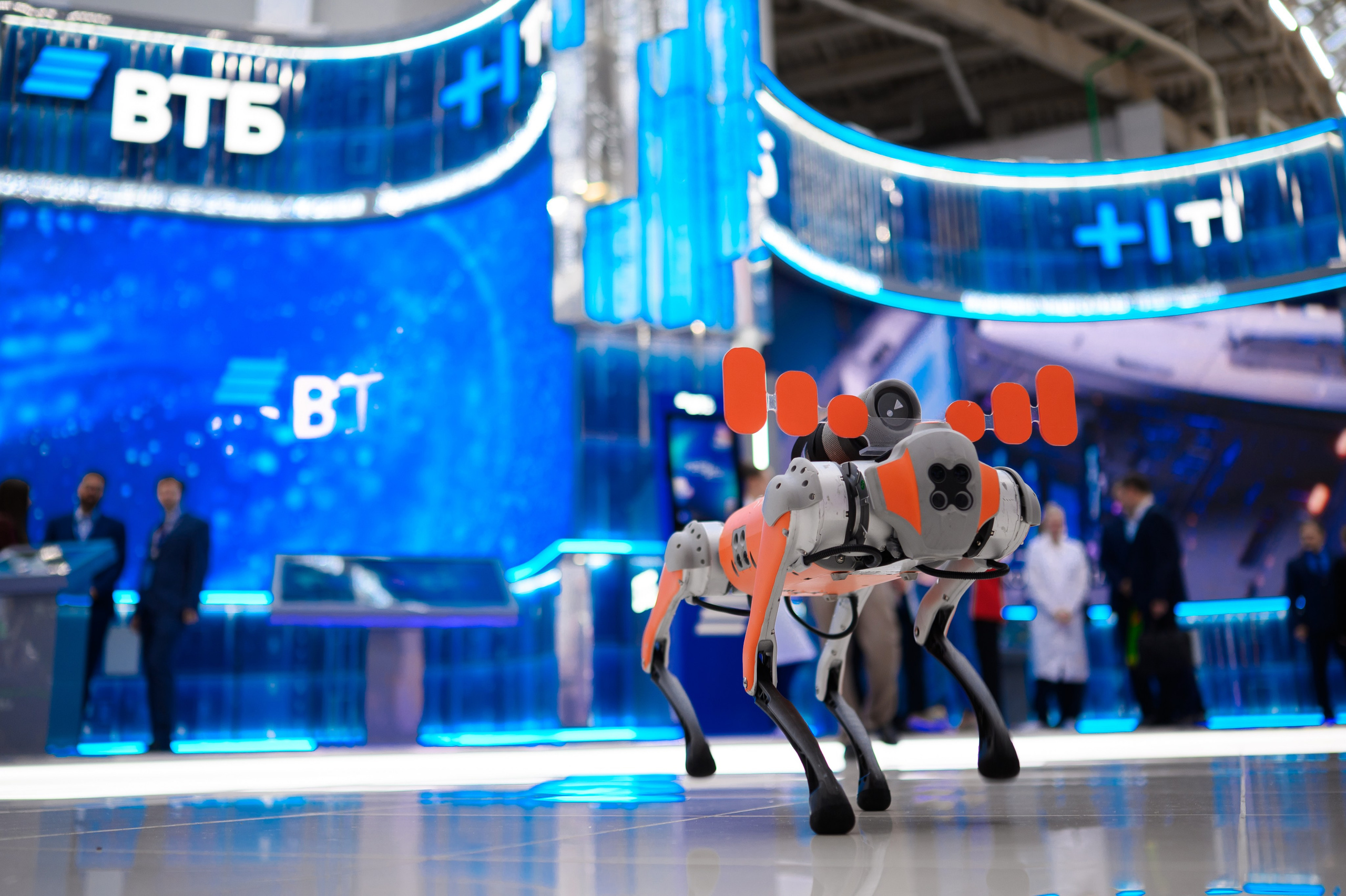 Репортажный фотограф Сочи