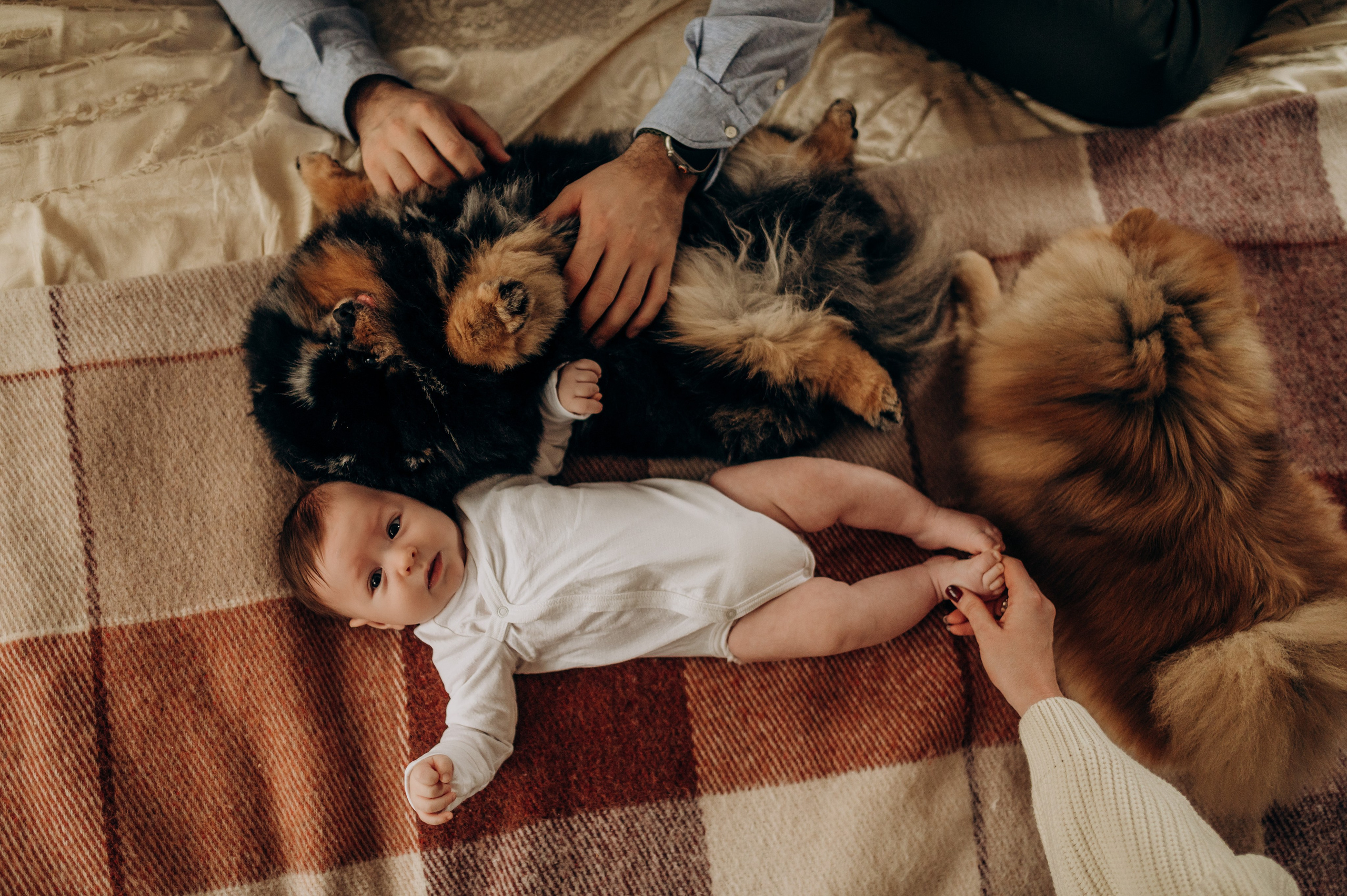 Для Саши, Кати и Семёна. Семейный фотограф в Домодедово и Москве Елена Пичугина
