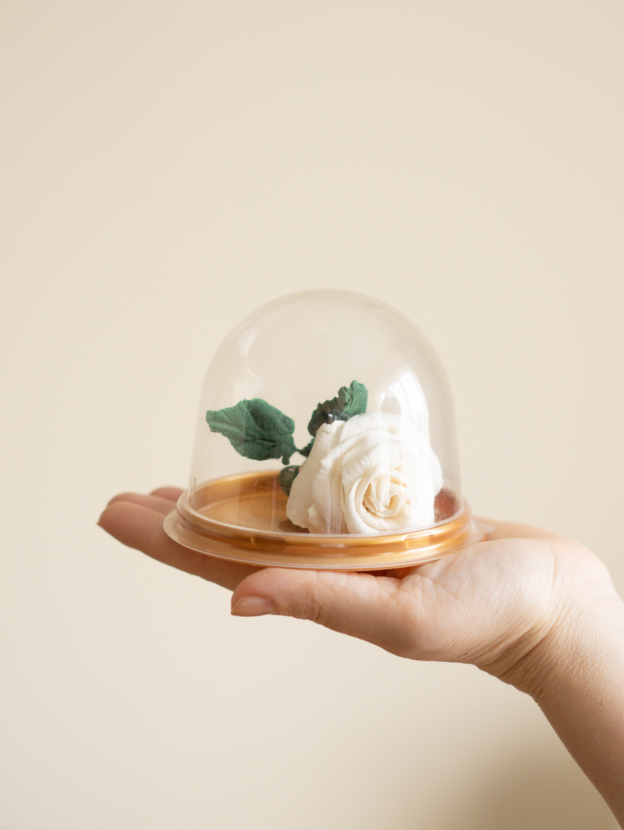 Конфеты ручной работы. Живые снимки! Фотограф Даша Бендер