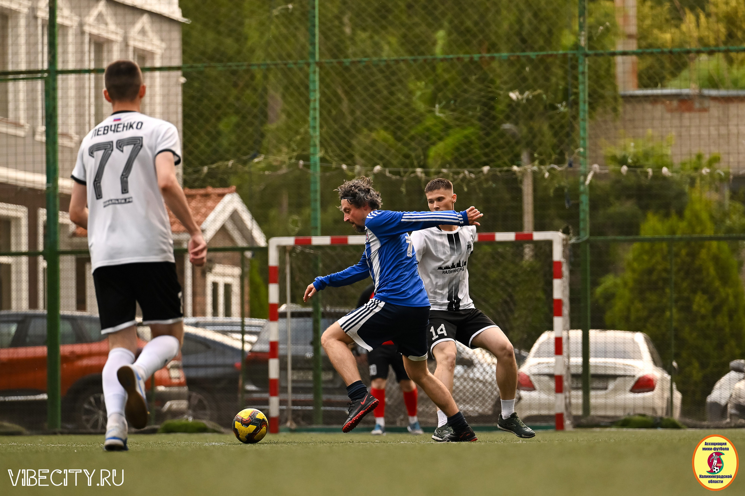 ИГРЫ МИНИ-ФУТБОЛЬНОЙ И КОРПОРАТИВНОЙ ЛИГИ. VIBECITY.RU Вайб Сити Ру Фоторепортажи Фотоотчеты Калининград