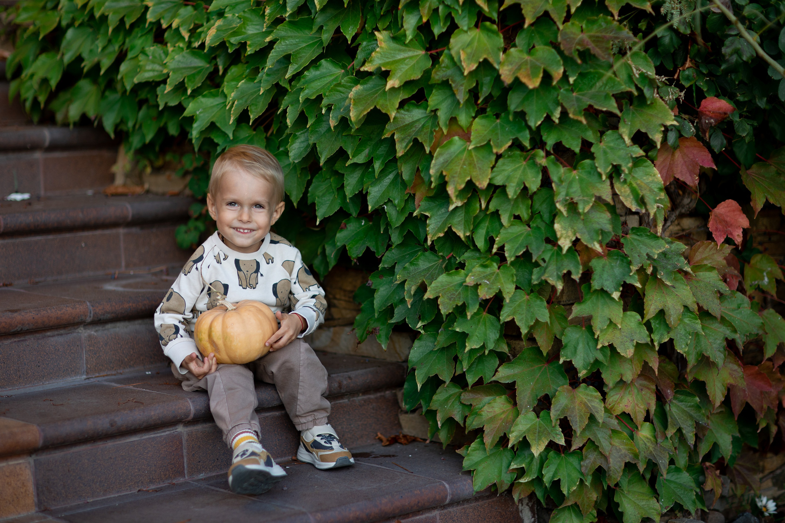 Детский фотограф в России Екатерина Штерн
