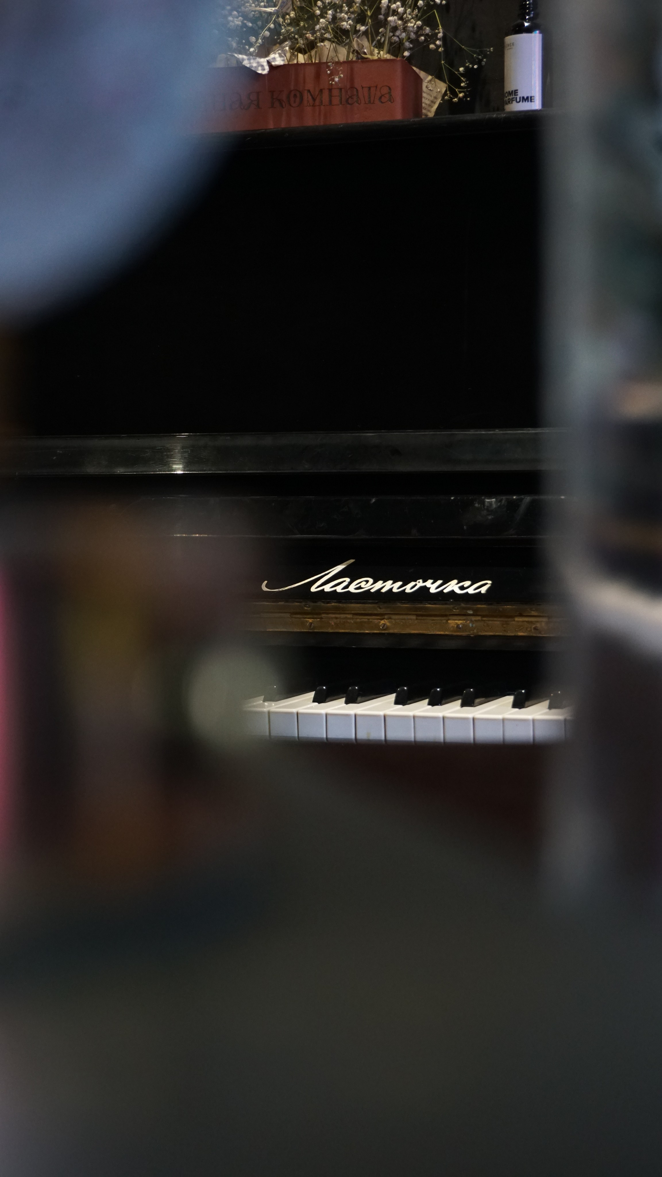 Студия дизайна|ILUMIS