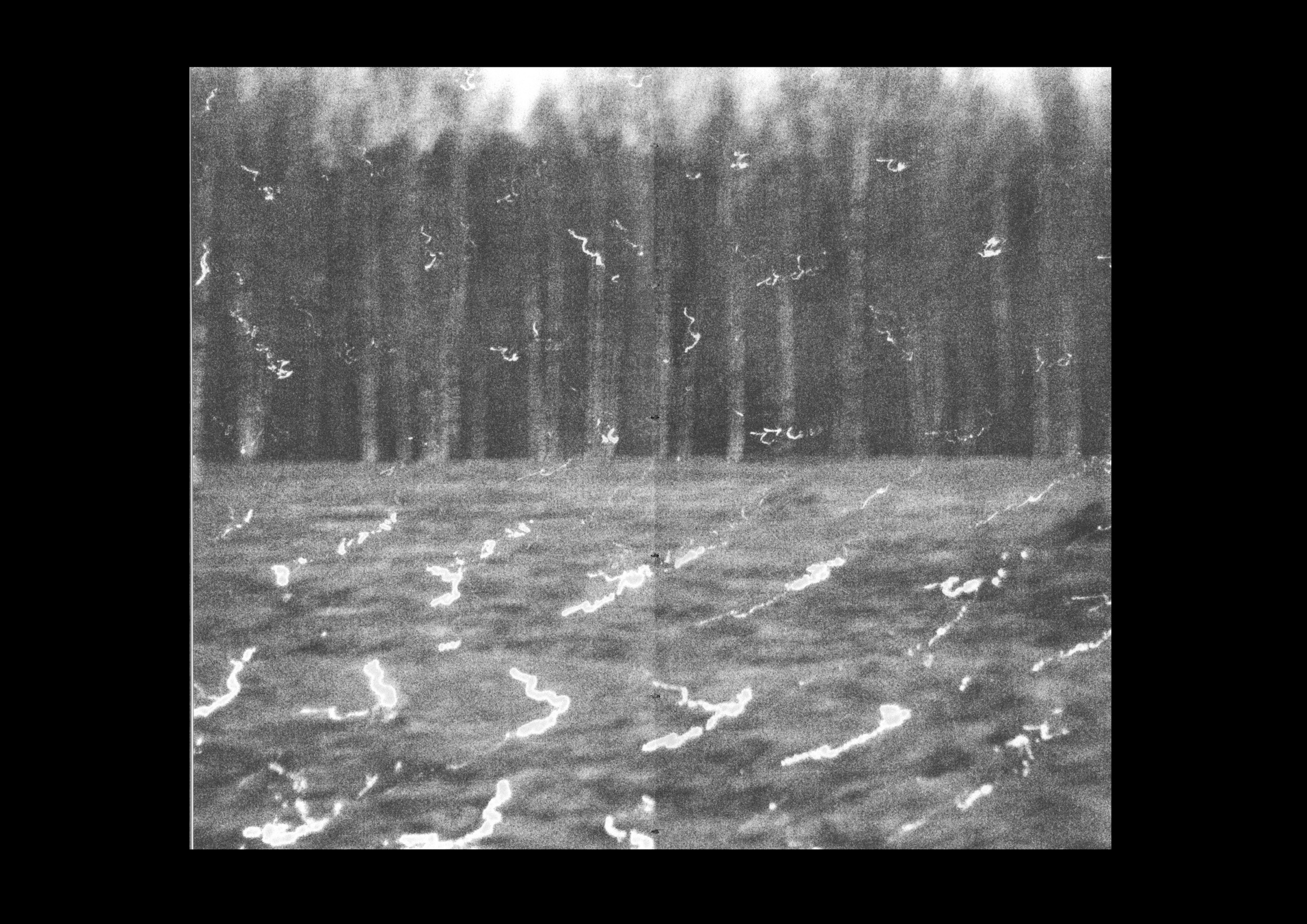 A story about the sun. Kristina Sergeeva