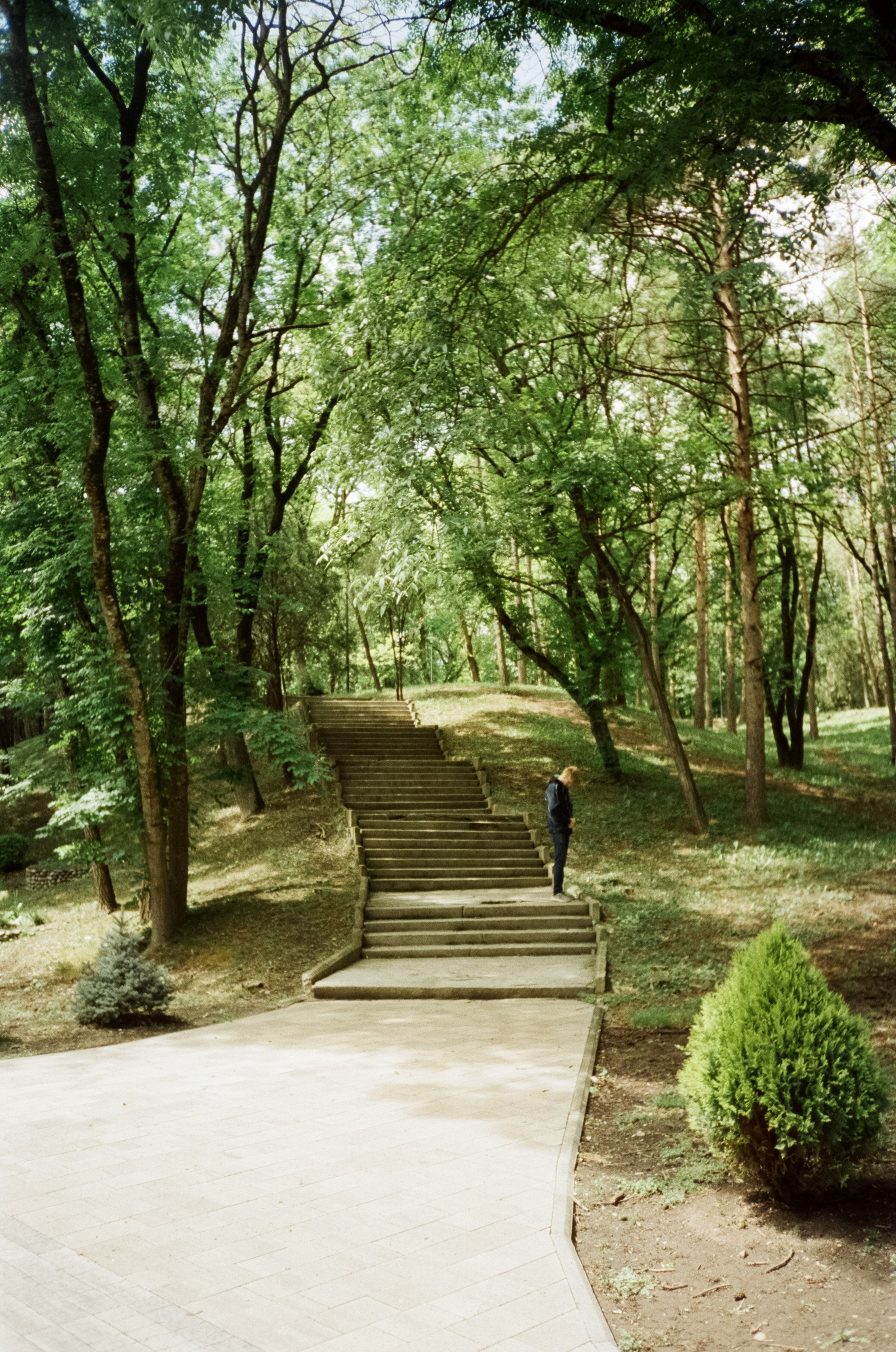 Солнечные Ессентуки. Прогулка в Курортном парке. Фотограф-документалист Мария Осокина