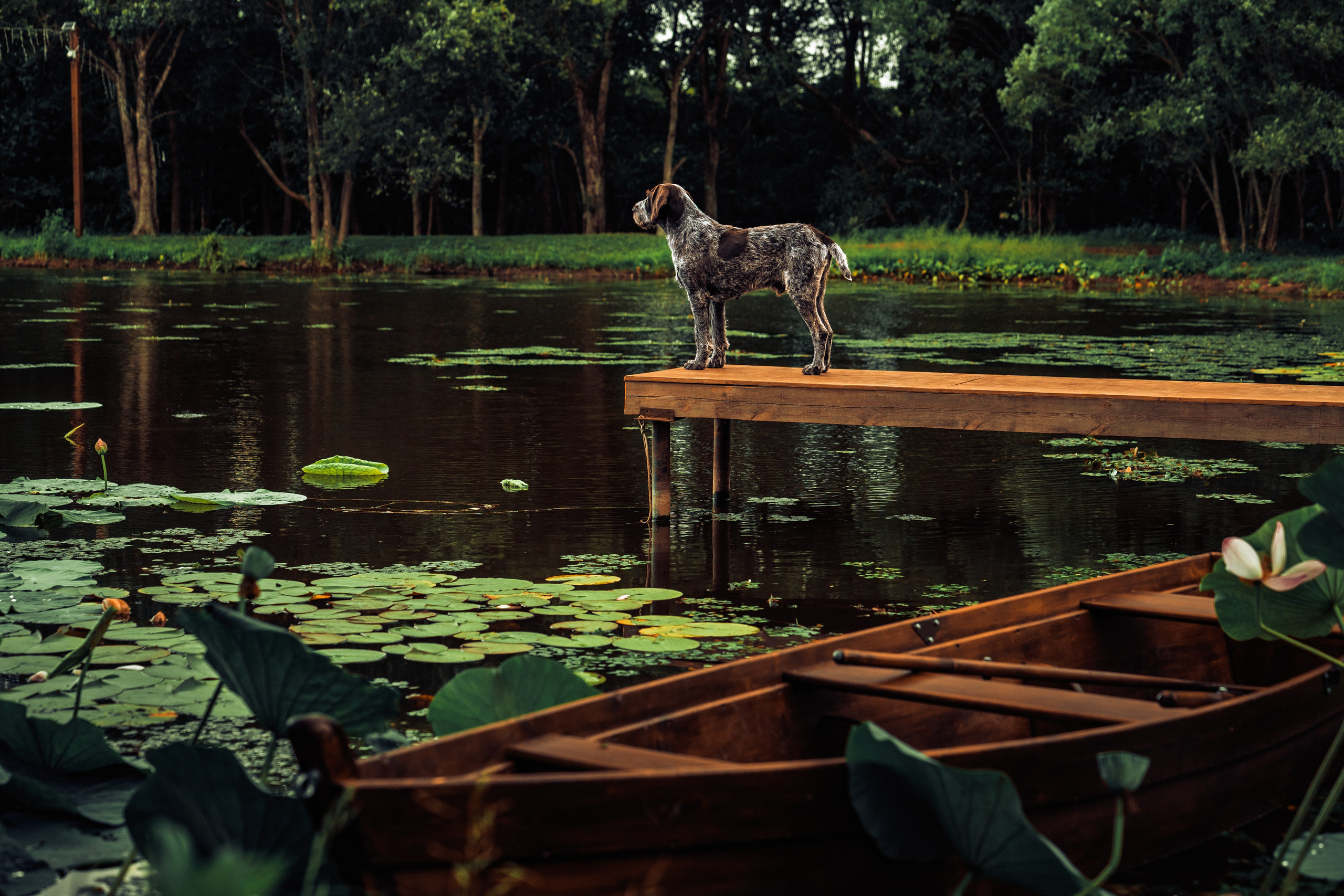 Пруд «Семейный» | с. Петровка. Иван Зайцев (IZIART) — создание культурного кода через фото и видео
