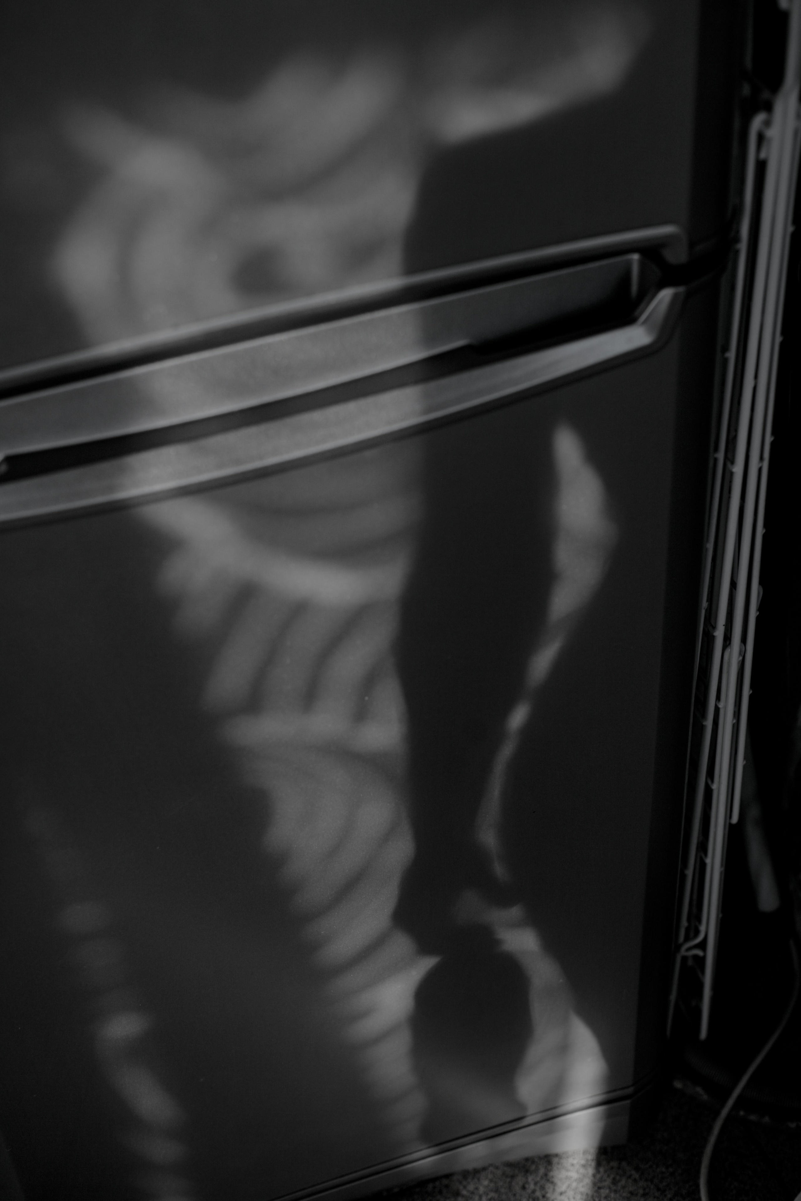 Улицы Люди на улицах Природа Животные — фотограф Оля Волчкова