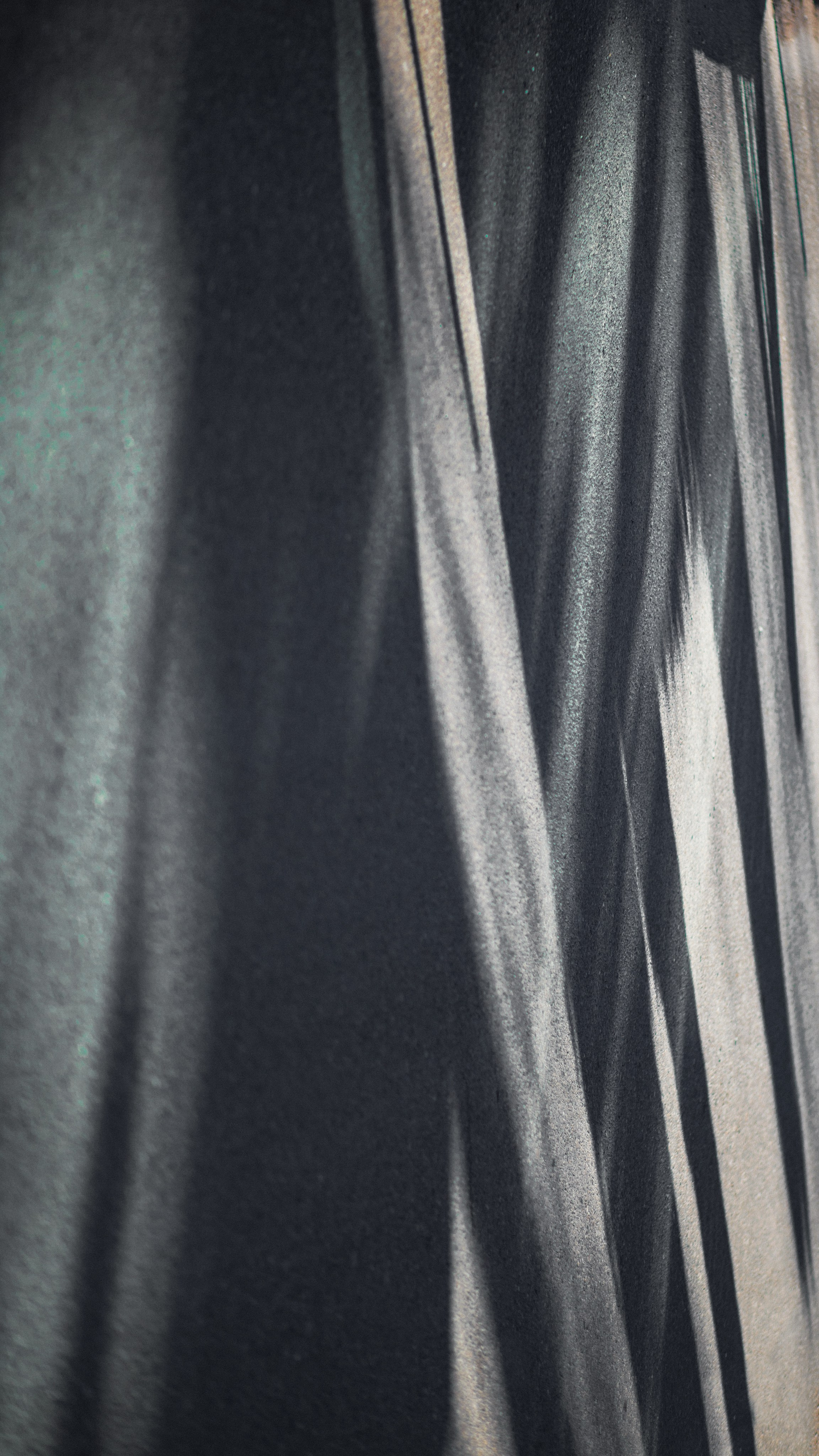 Улицы Люди на улицах Природа Животные — фотограф Оля Волчкова