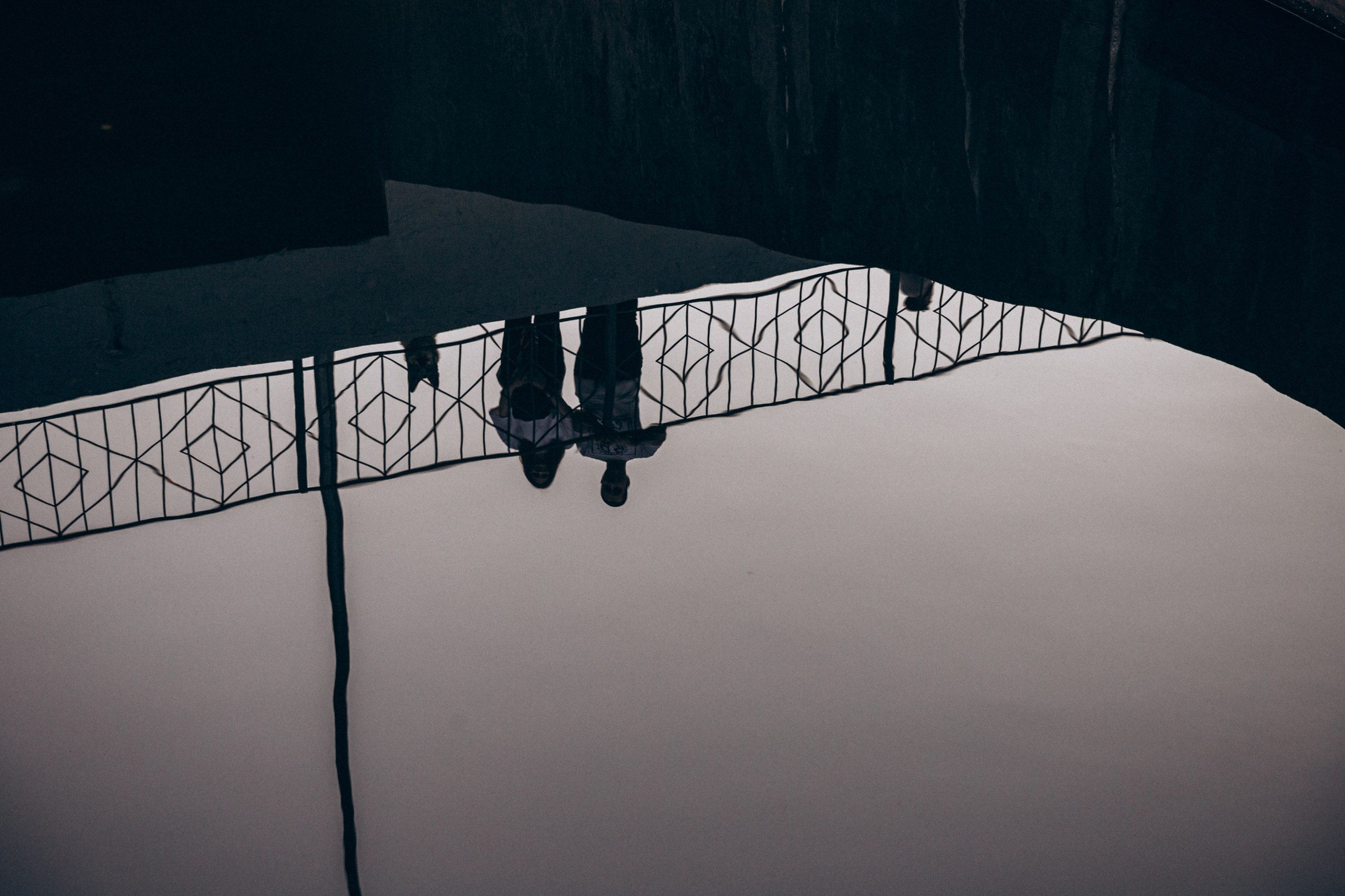 Фотограф-анималист в Москве Соломонова Варвара