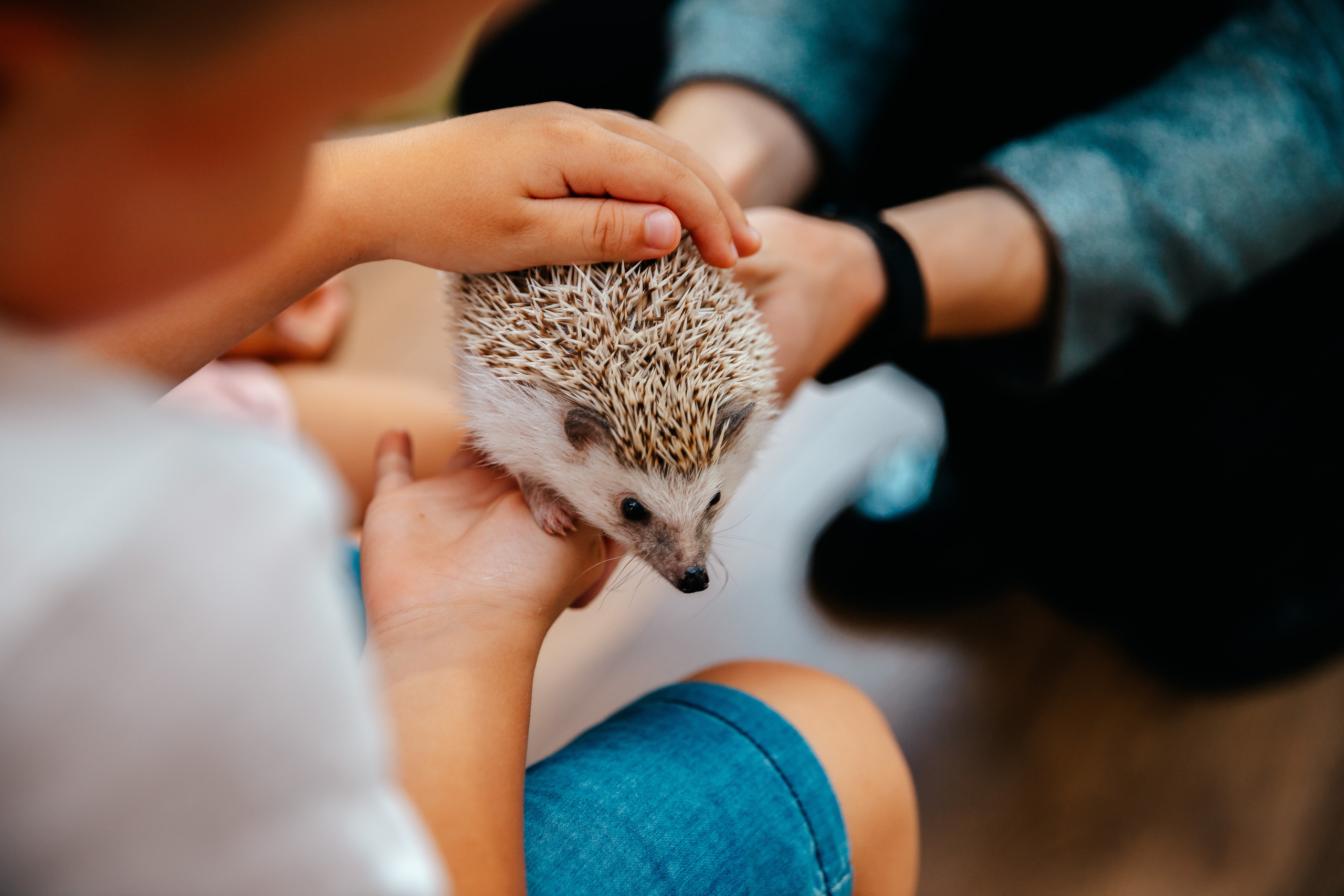 Семёну 5 лет. Семейный lifestyle фотограф в Санкт-Петербурге Людмила Пахомова