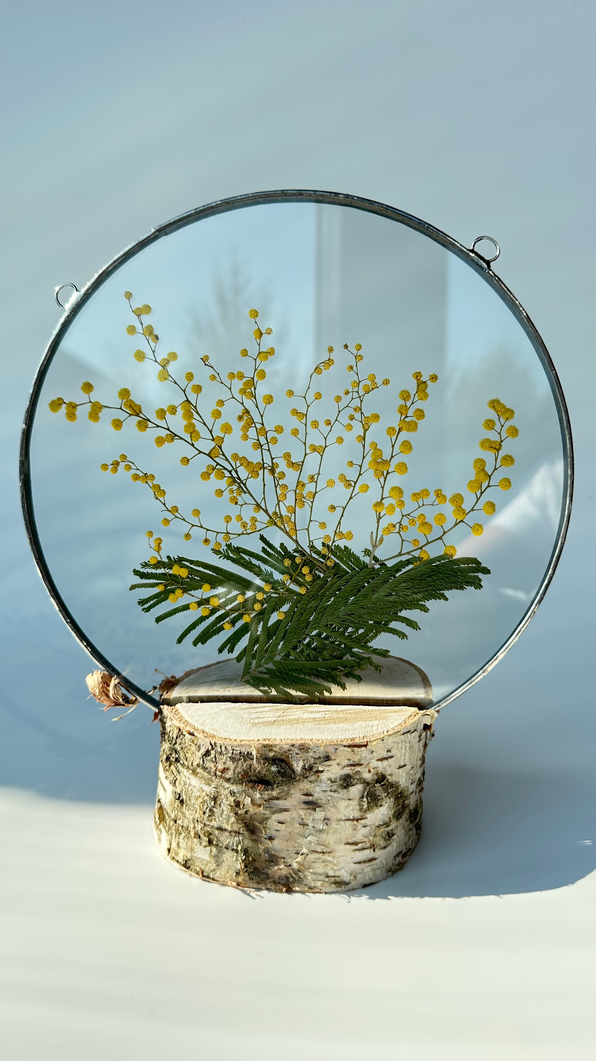 Мимоза круг 20 см. Оформляю пространства. Витражи с сухоцветами в технике Тиффани