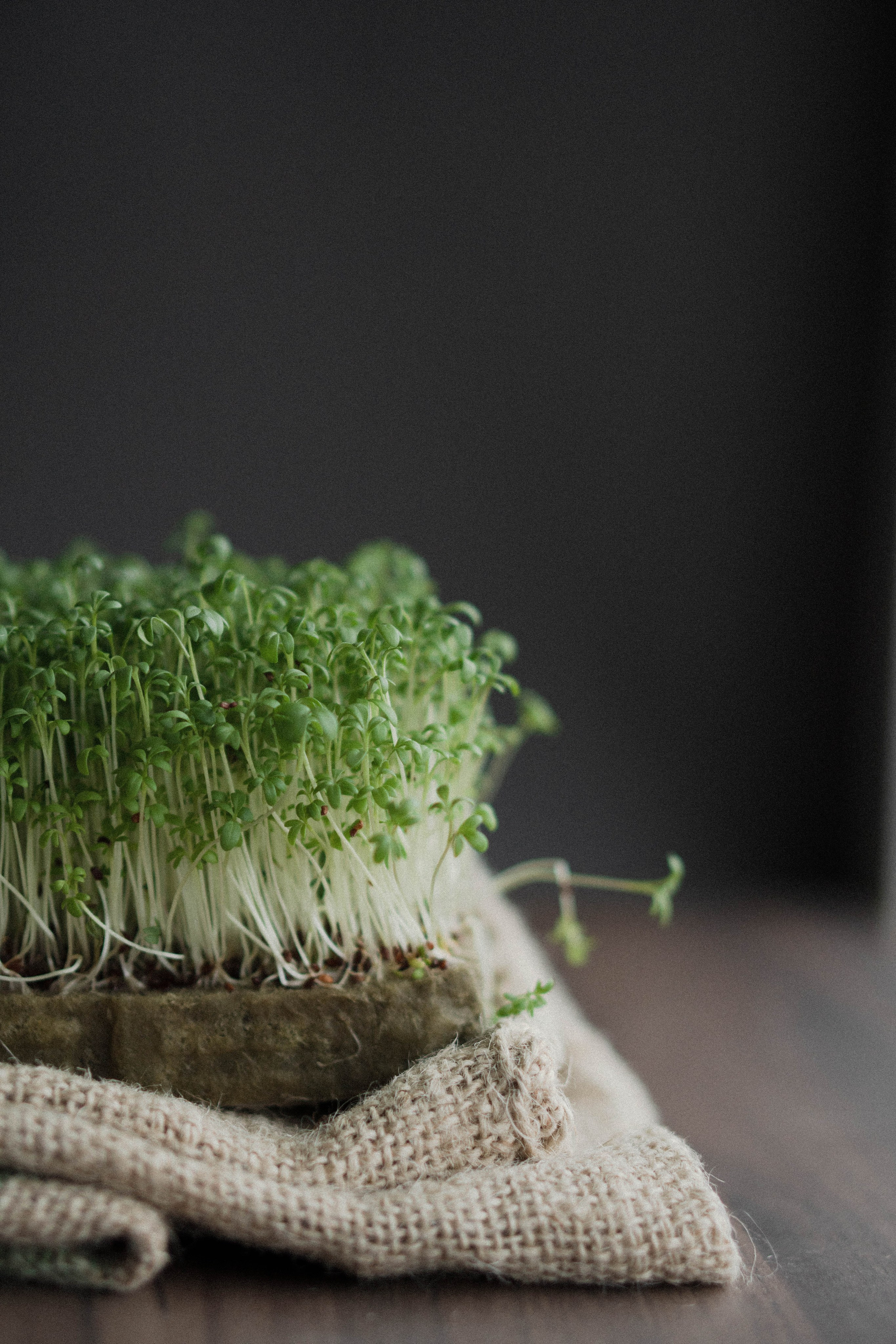 Предметная съемка. Видеограф Зинченко Татьяна г. Пермь