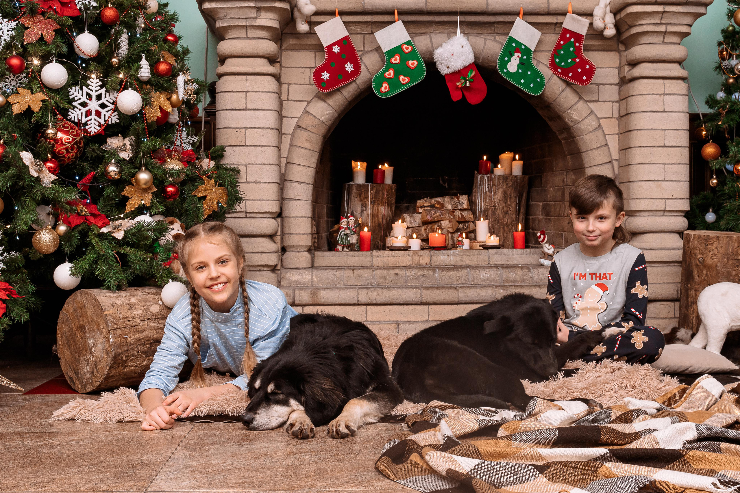 Пёс на счастье. Модель подросток Кристина Шэр в Москве