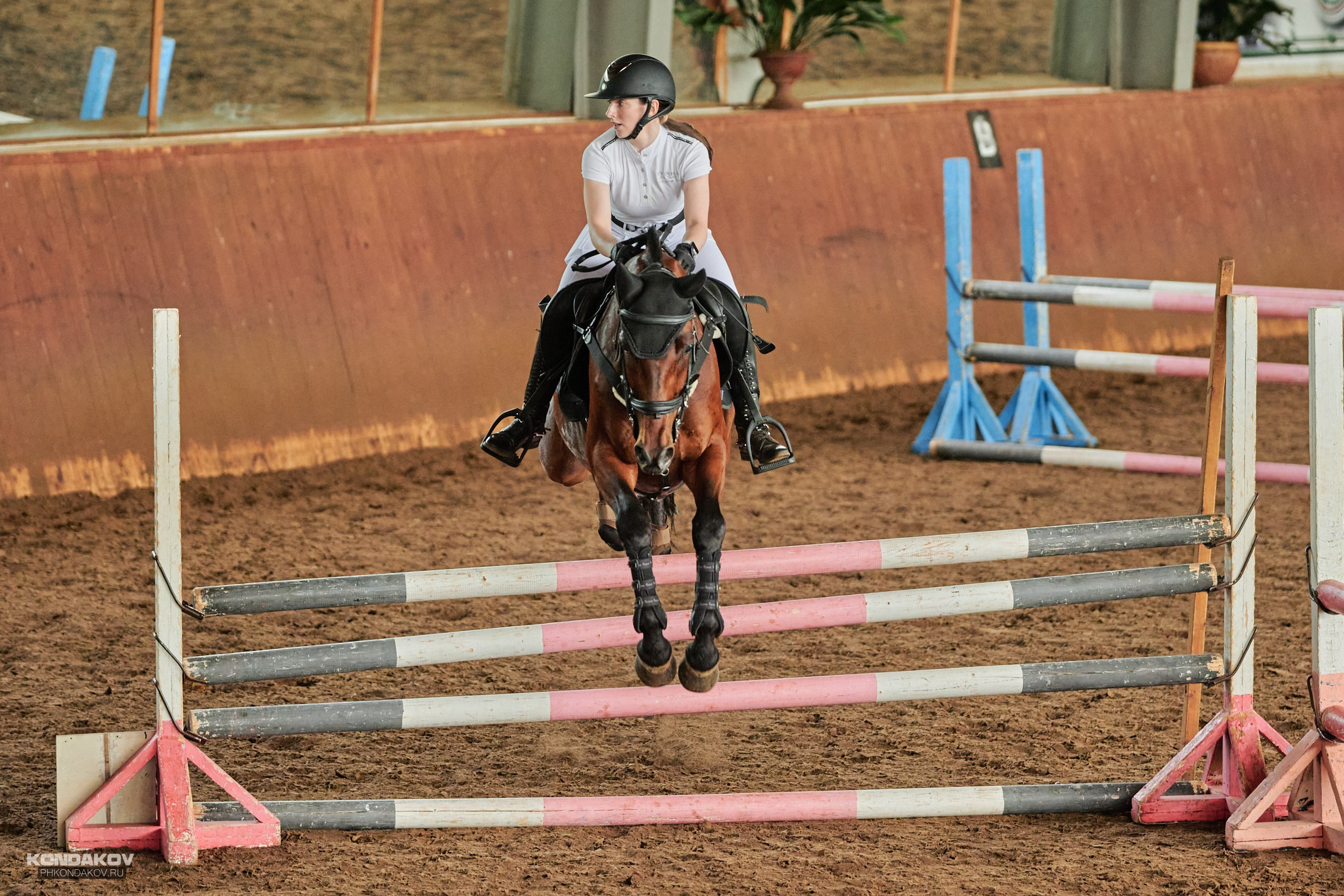 Съемка соревнований по конкуру для Риат. Фотограф в Иваново: Каталожная съемка одежды и постельного белья, Wildberries