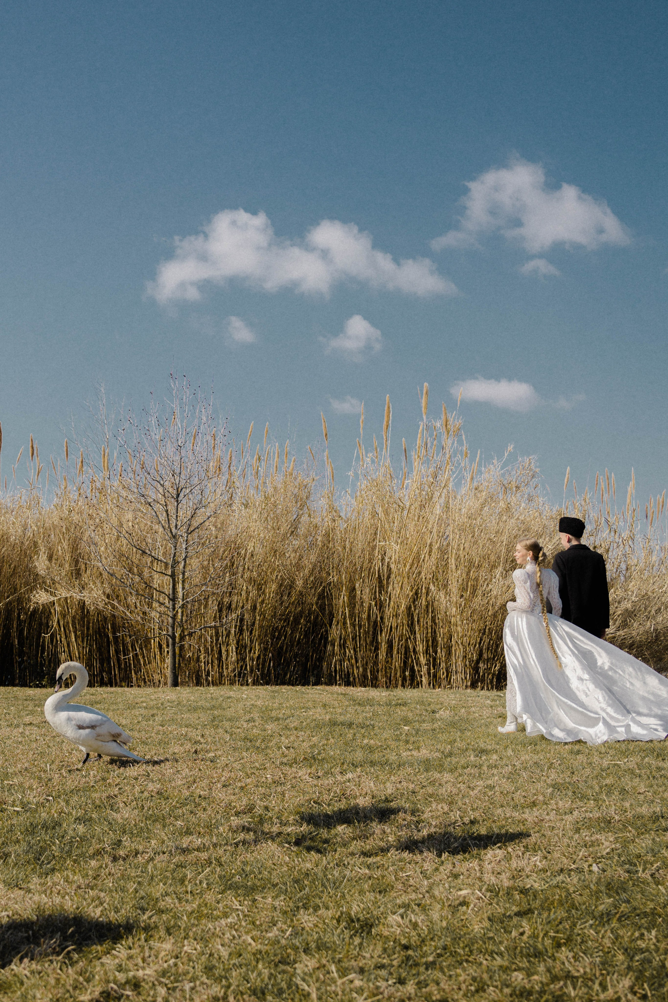 Свадебный фотограф и видеограф в Сочи и Спб | Лучшие фотографы Сочи и Красной Поляны