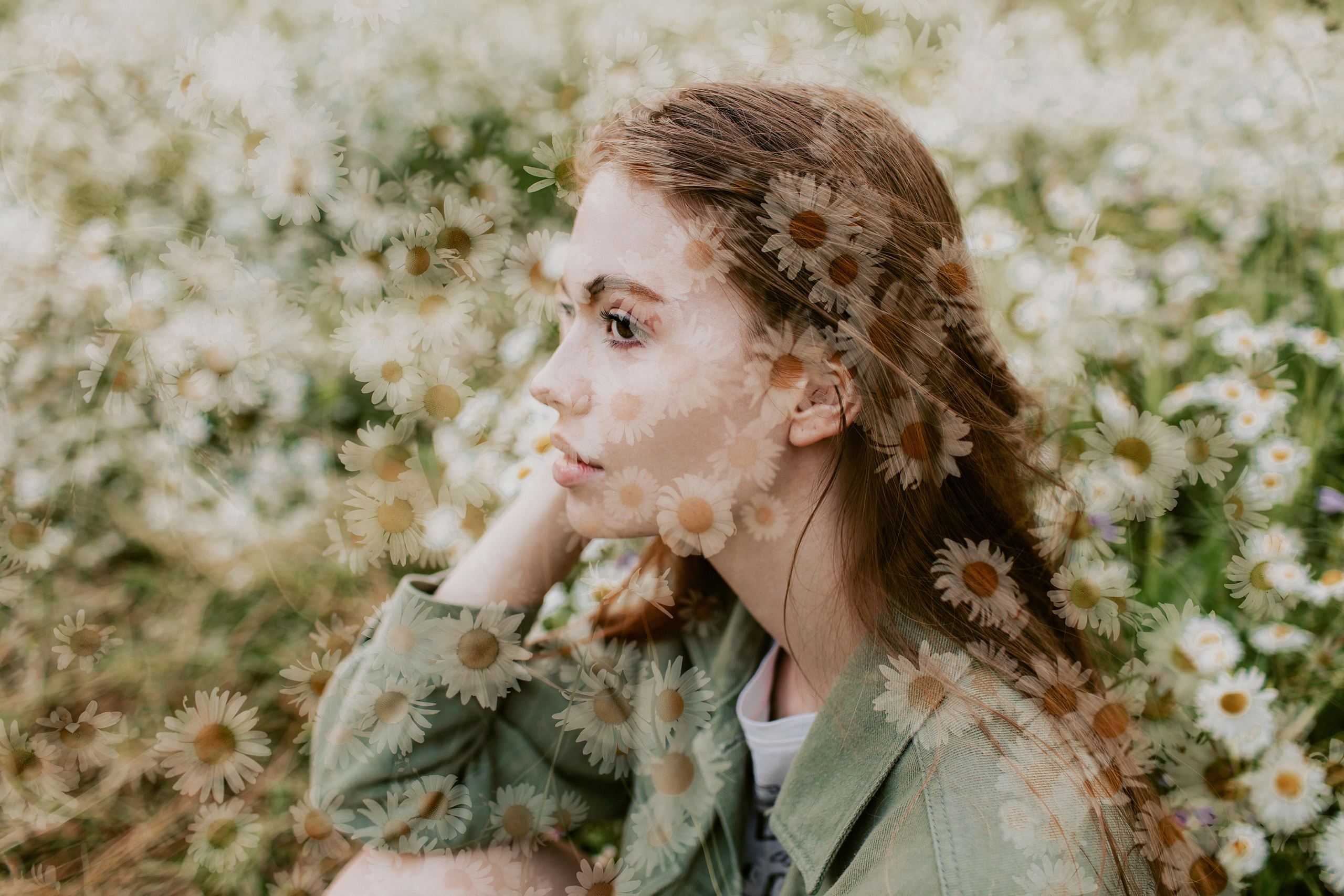 Фотосессия в ромашковом поле. Фотограф в Москве и Подольске Алла Богатова