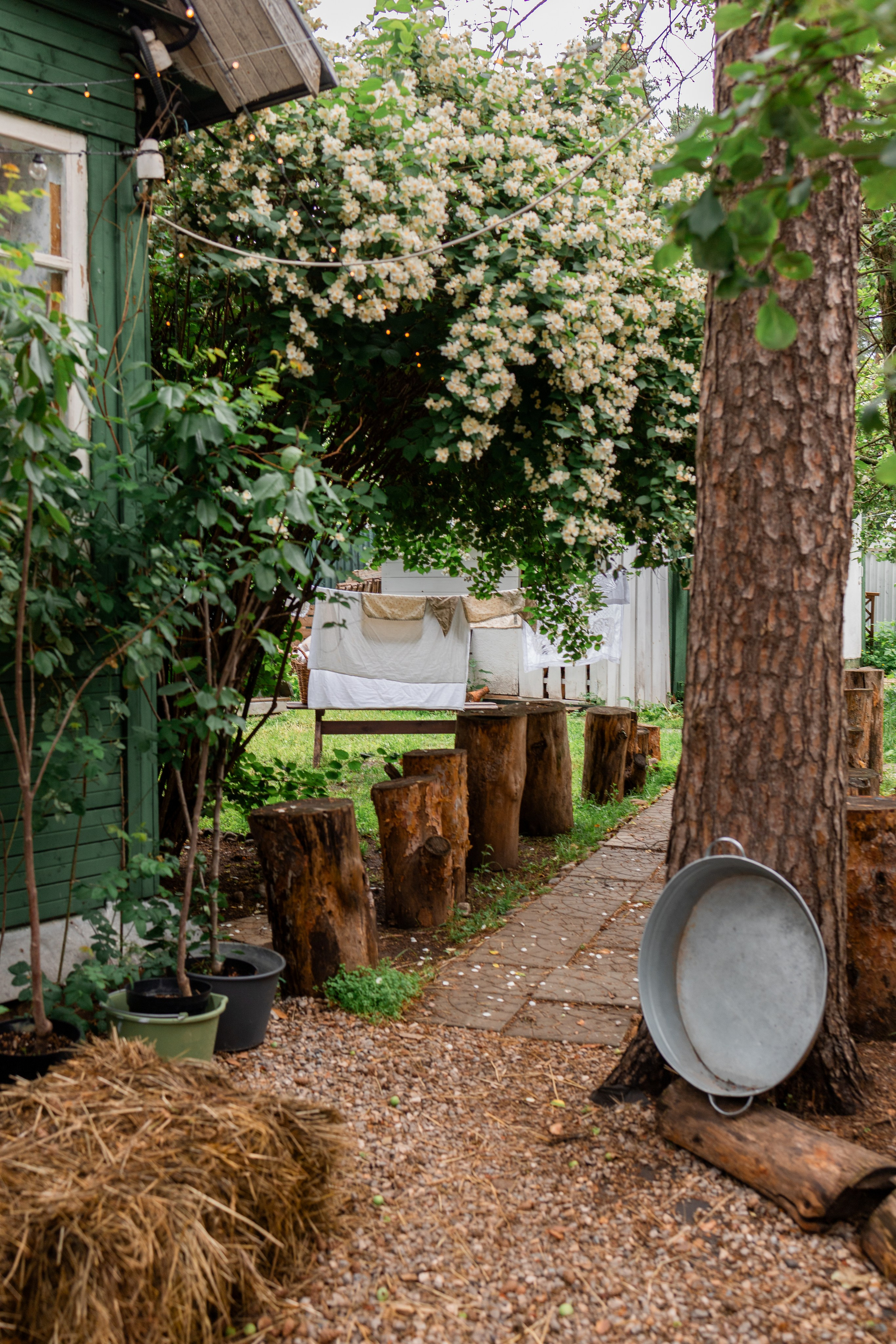 Семья Мазаевых. Портретный фотограф в Москве Кислая Елизавета