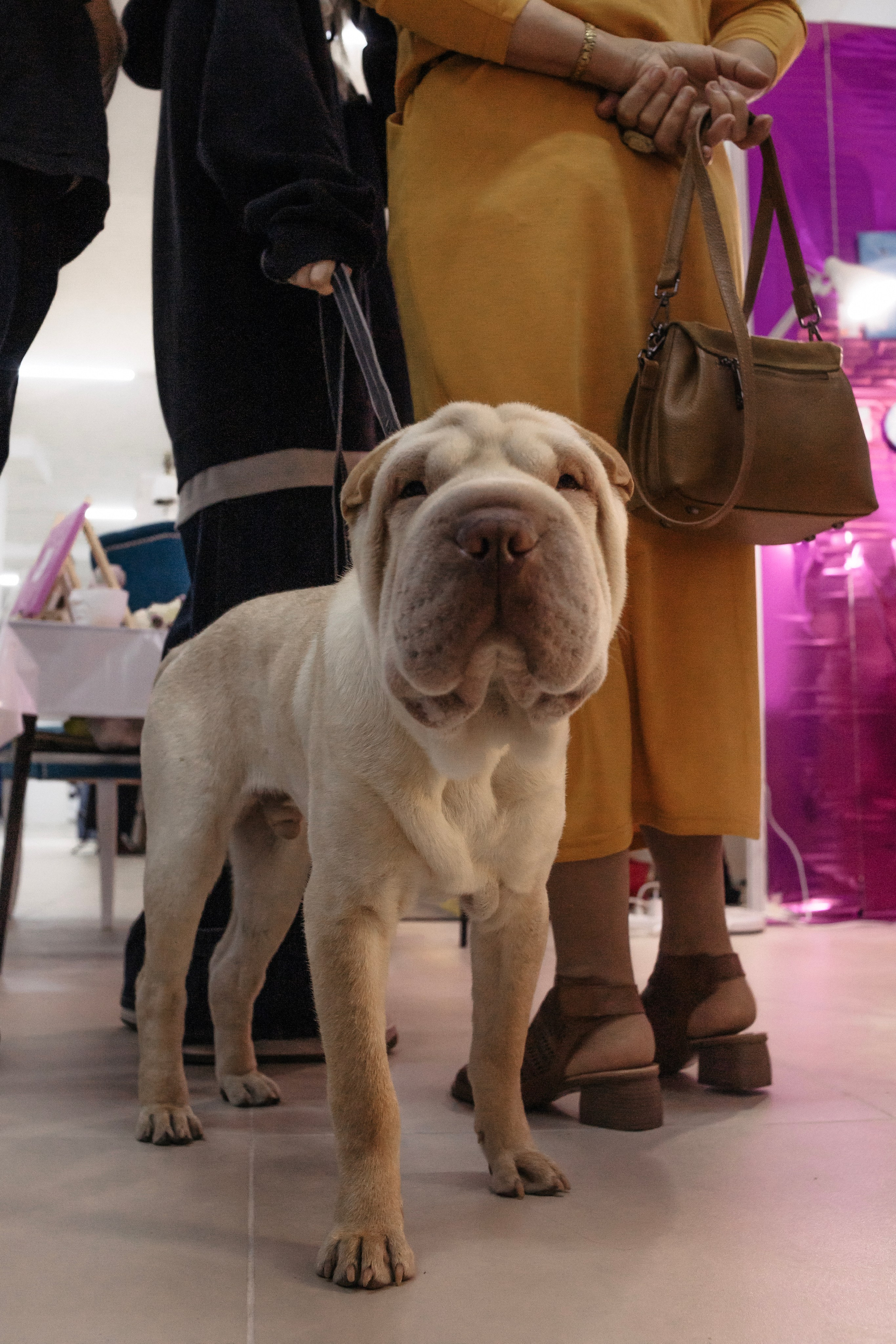 Репортажный фотограф | Константин Жуйков | Stifty. Фотограф Константин Жуйков