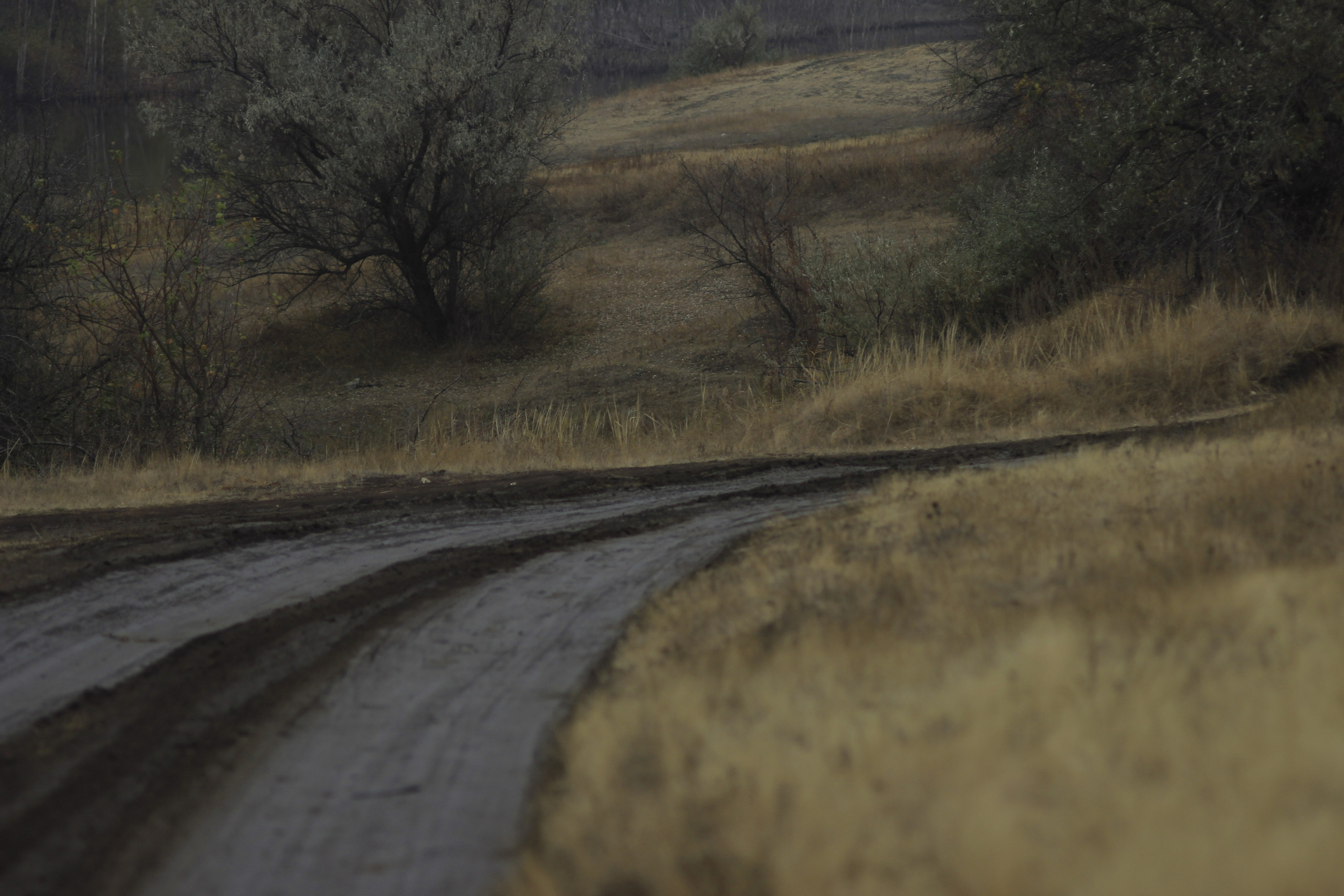 Разбойщина, Саратов, студенческая архитектурная мастерская Евгения Спирина и САСК. Фотокрыжовник. Снимаем, дружим, путешествуем