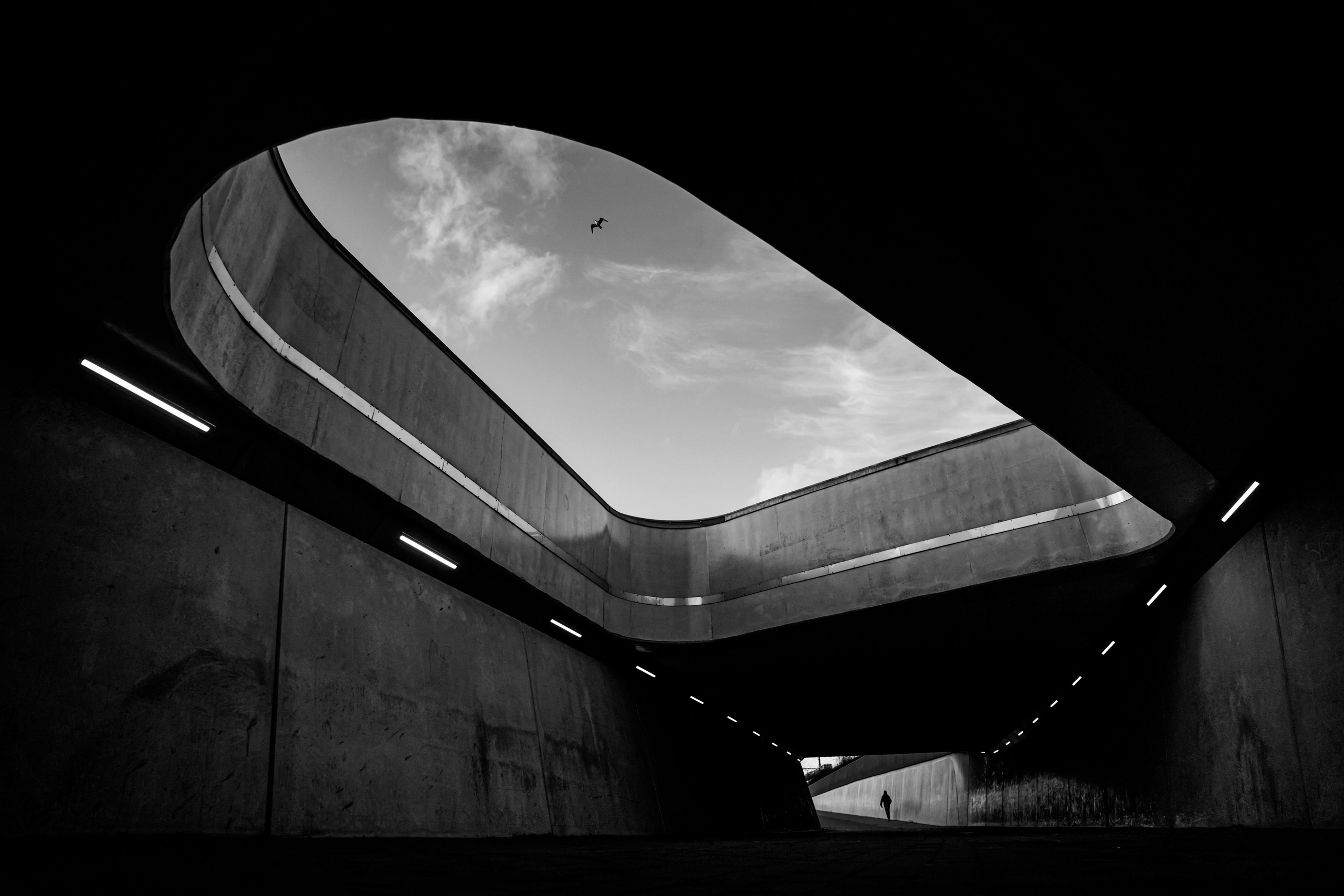 Курс «Стрит фотография»