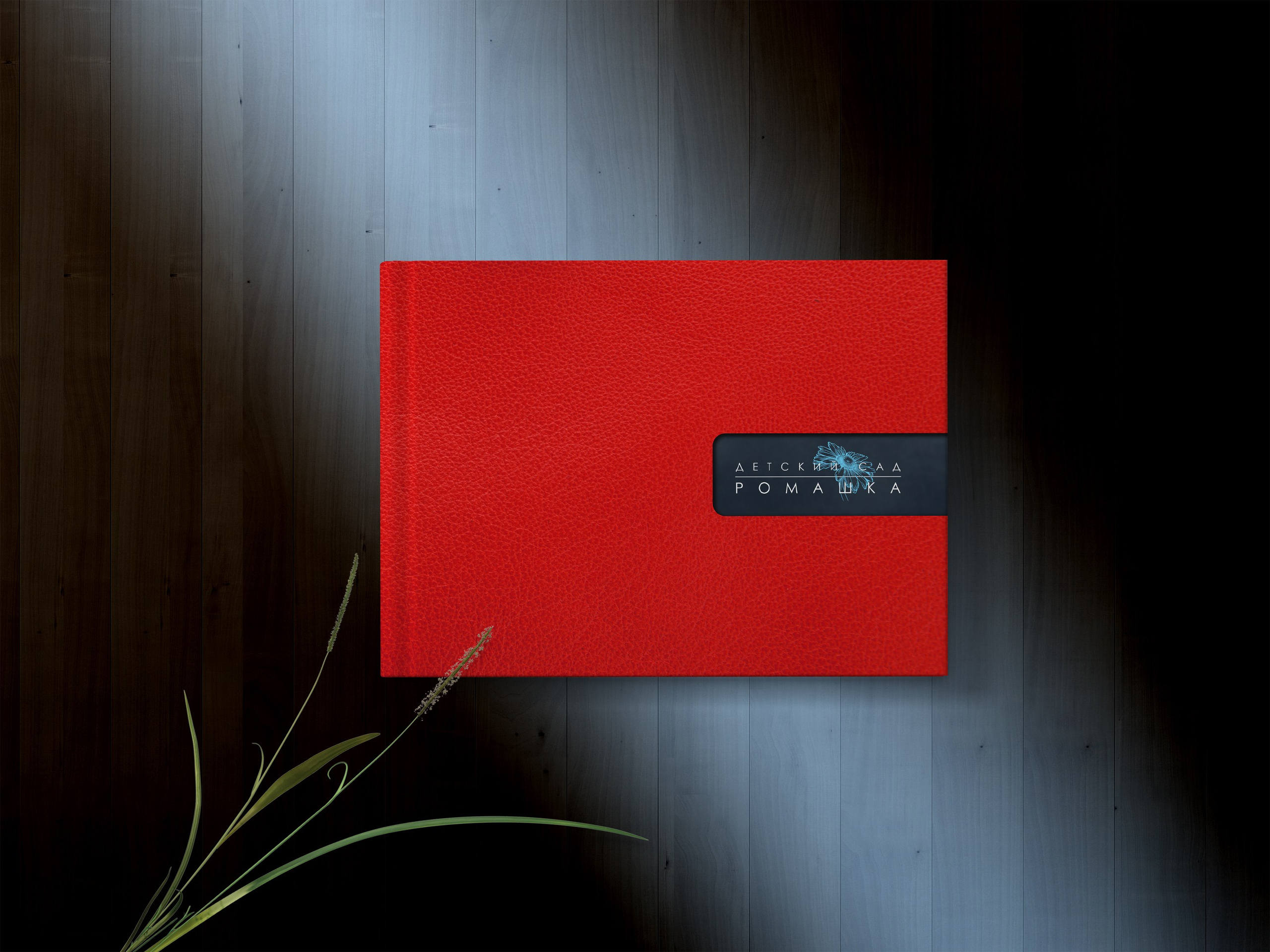 Обложка премиального выпускного альбома для ДС