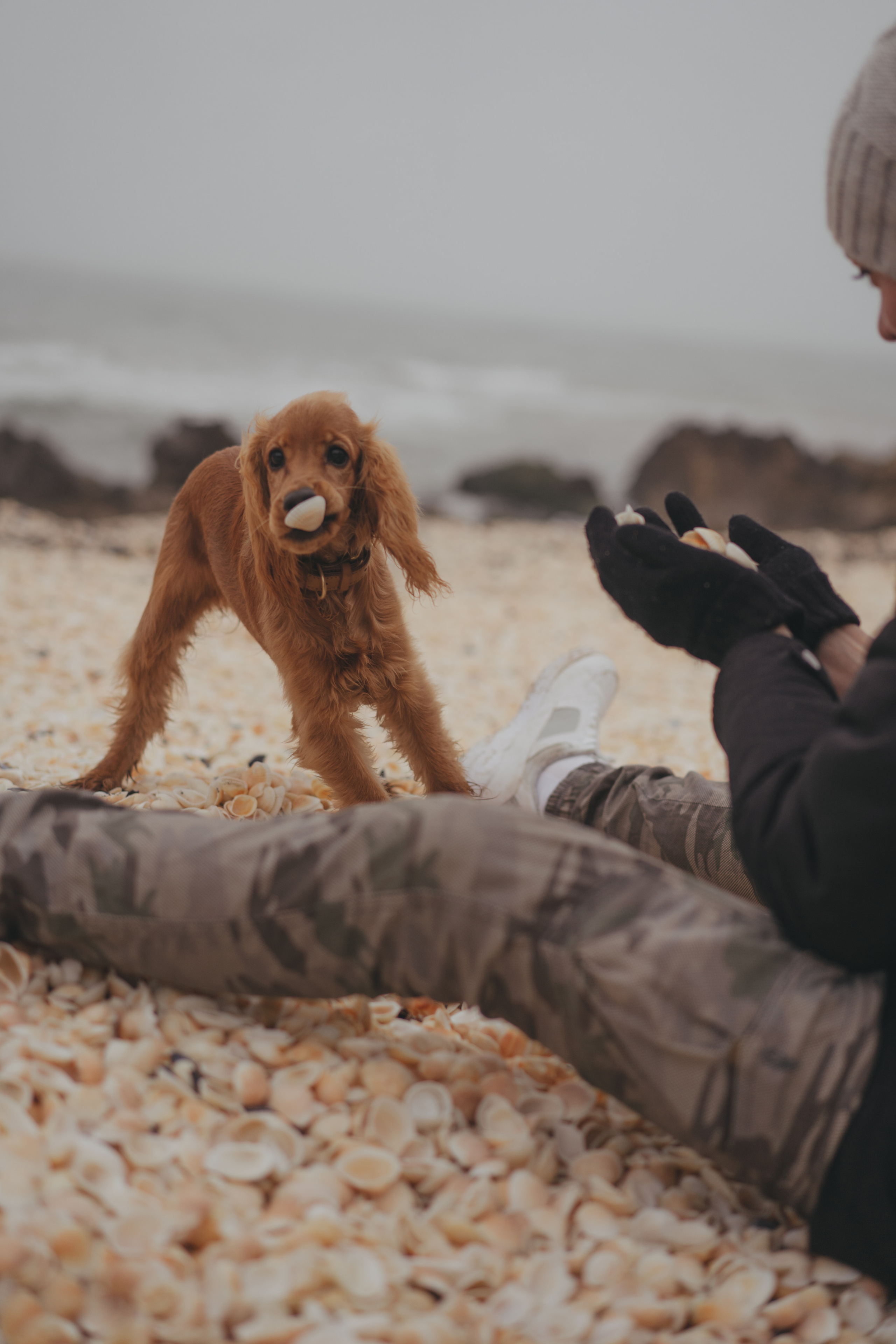 Ноябрьский Крым. Фотограф Дарья Филатова