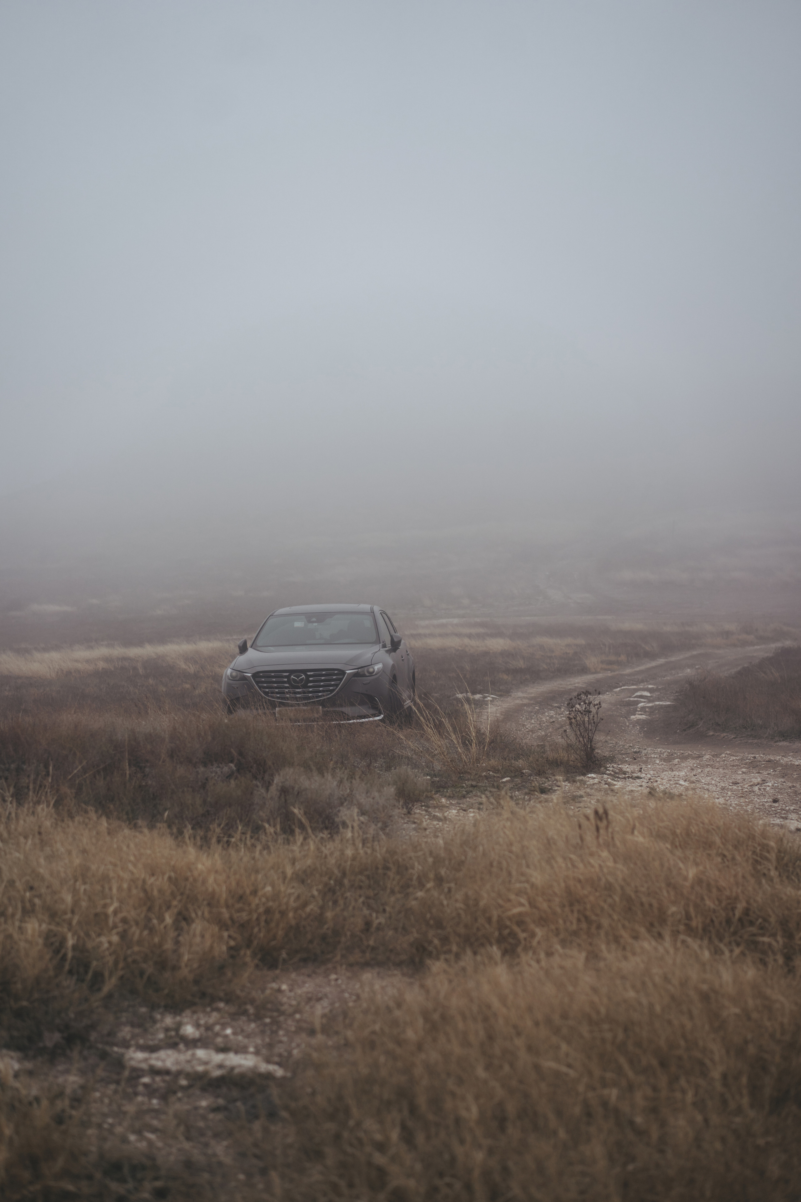 Ноябрьский Крым. Фотограф Дарья Филатова