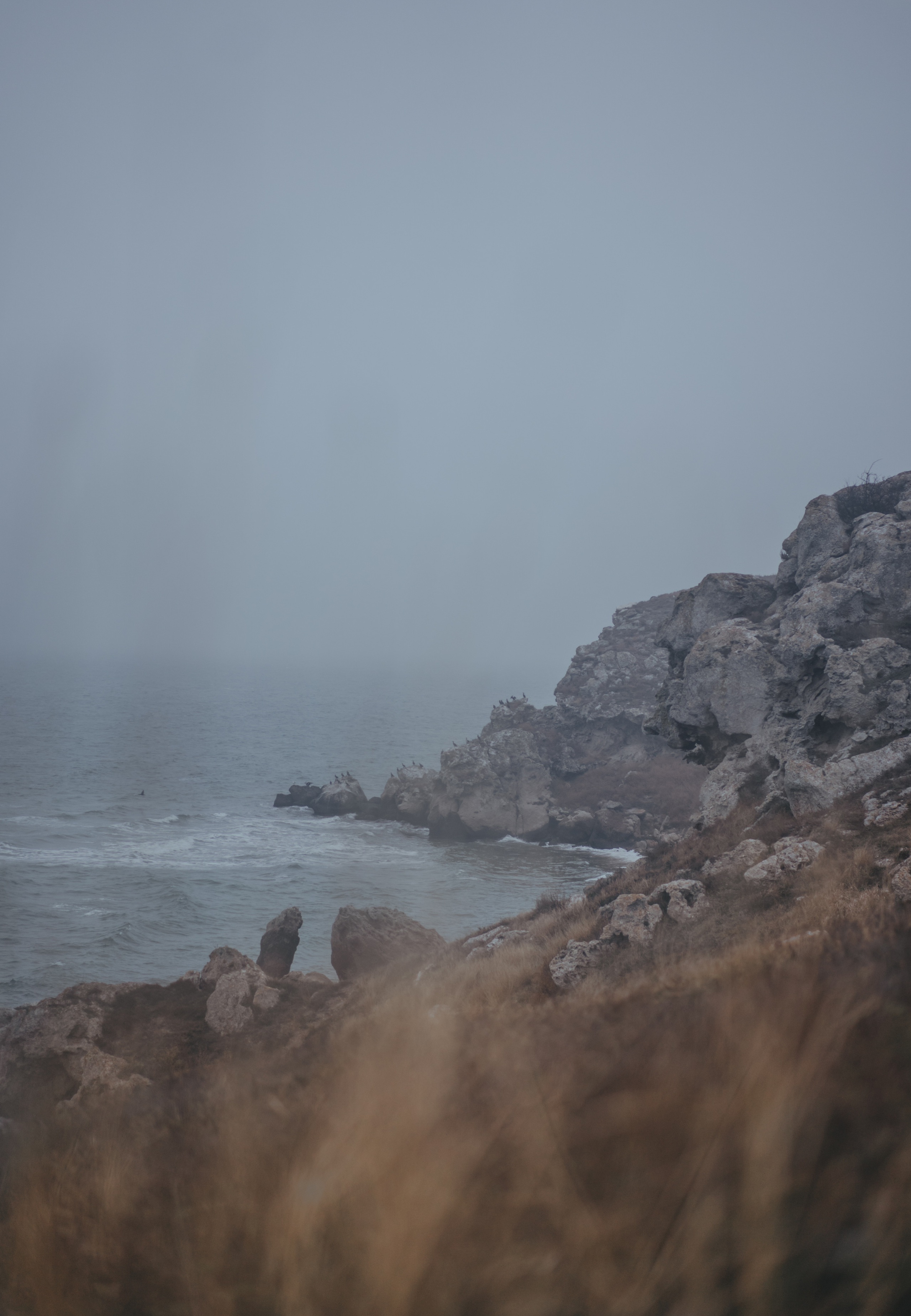 Ноябрьский Крым. Фотограф Дарья Филатова