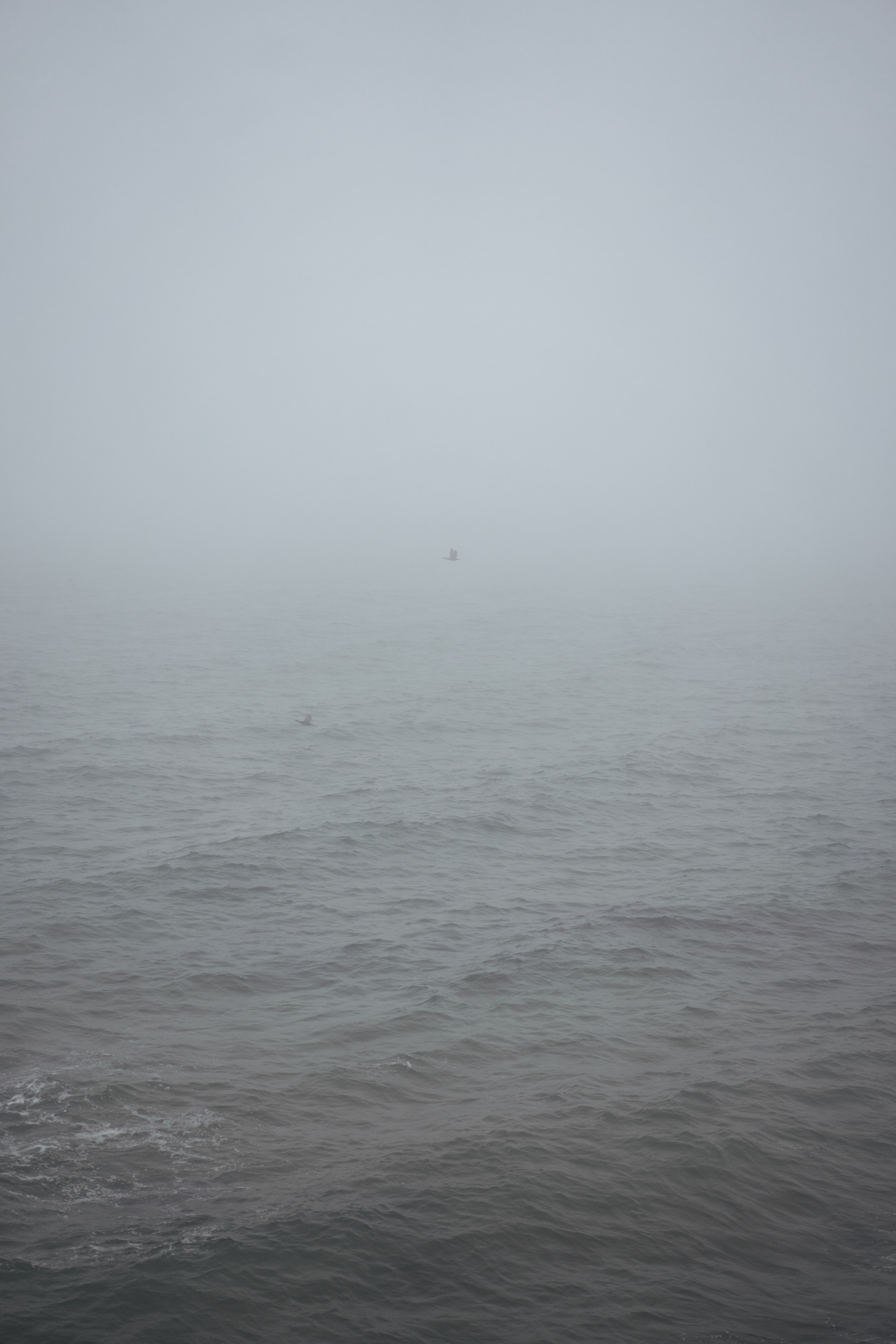 Ноябрьский Крым. Фотограф Дарья Филатова