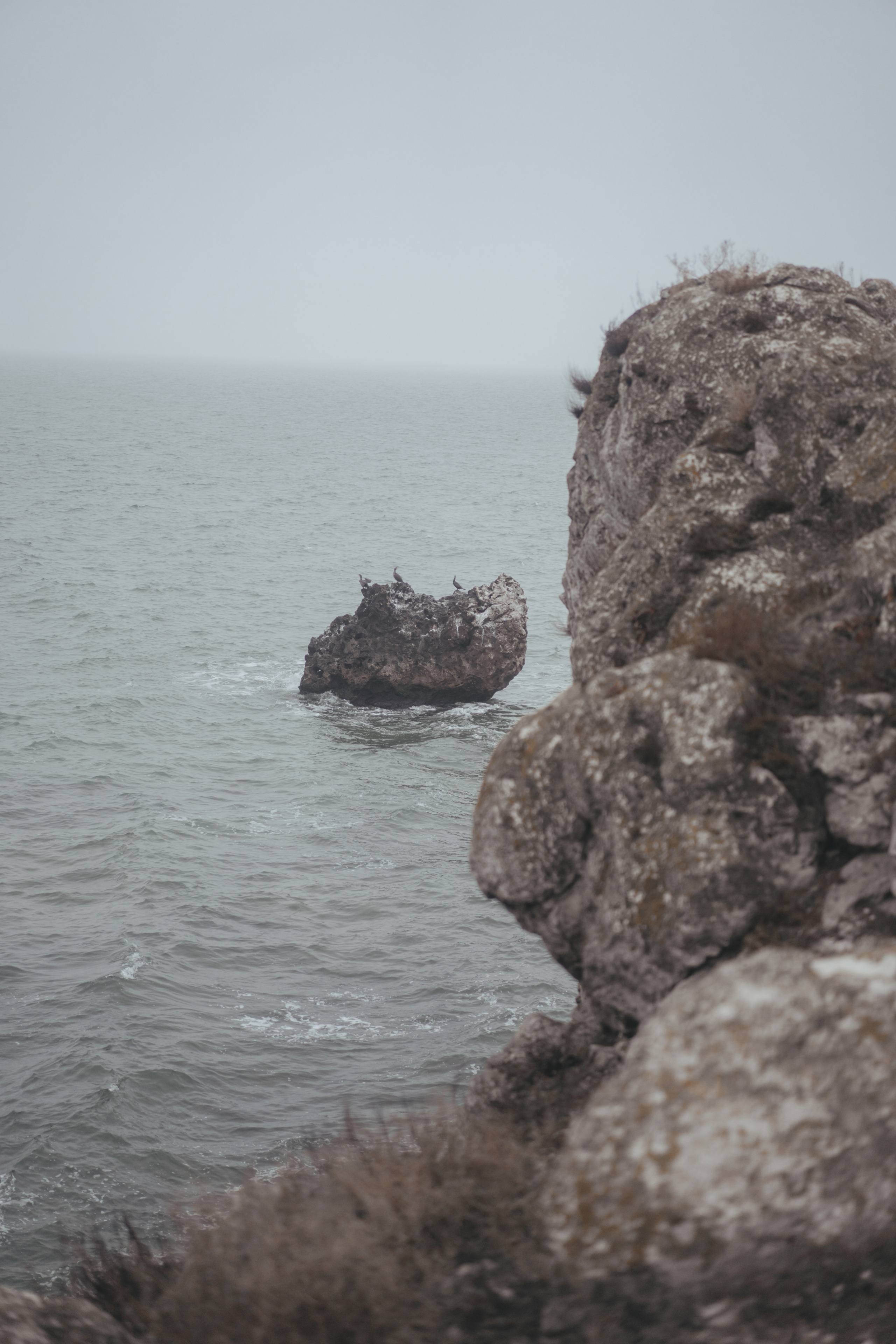 Ноябрьский Крым. Фотограф Дарья Филатова