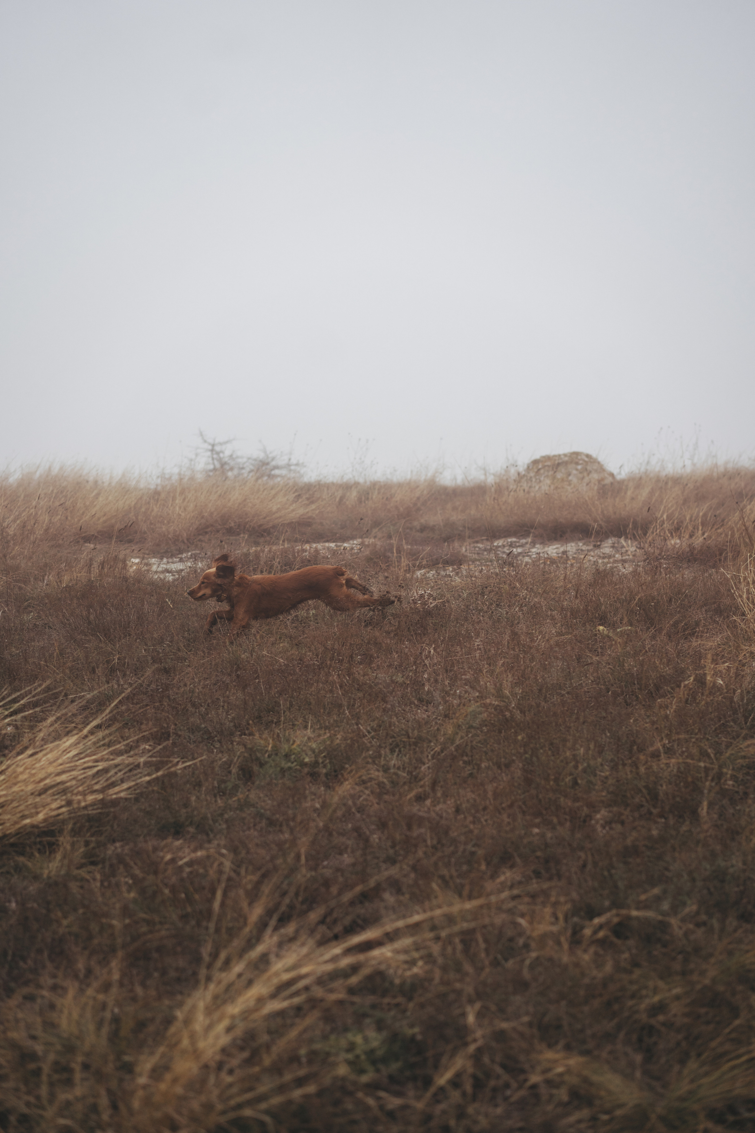 Ноябрьский Крым. Фотограф Дарья Филатова