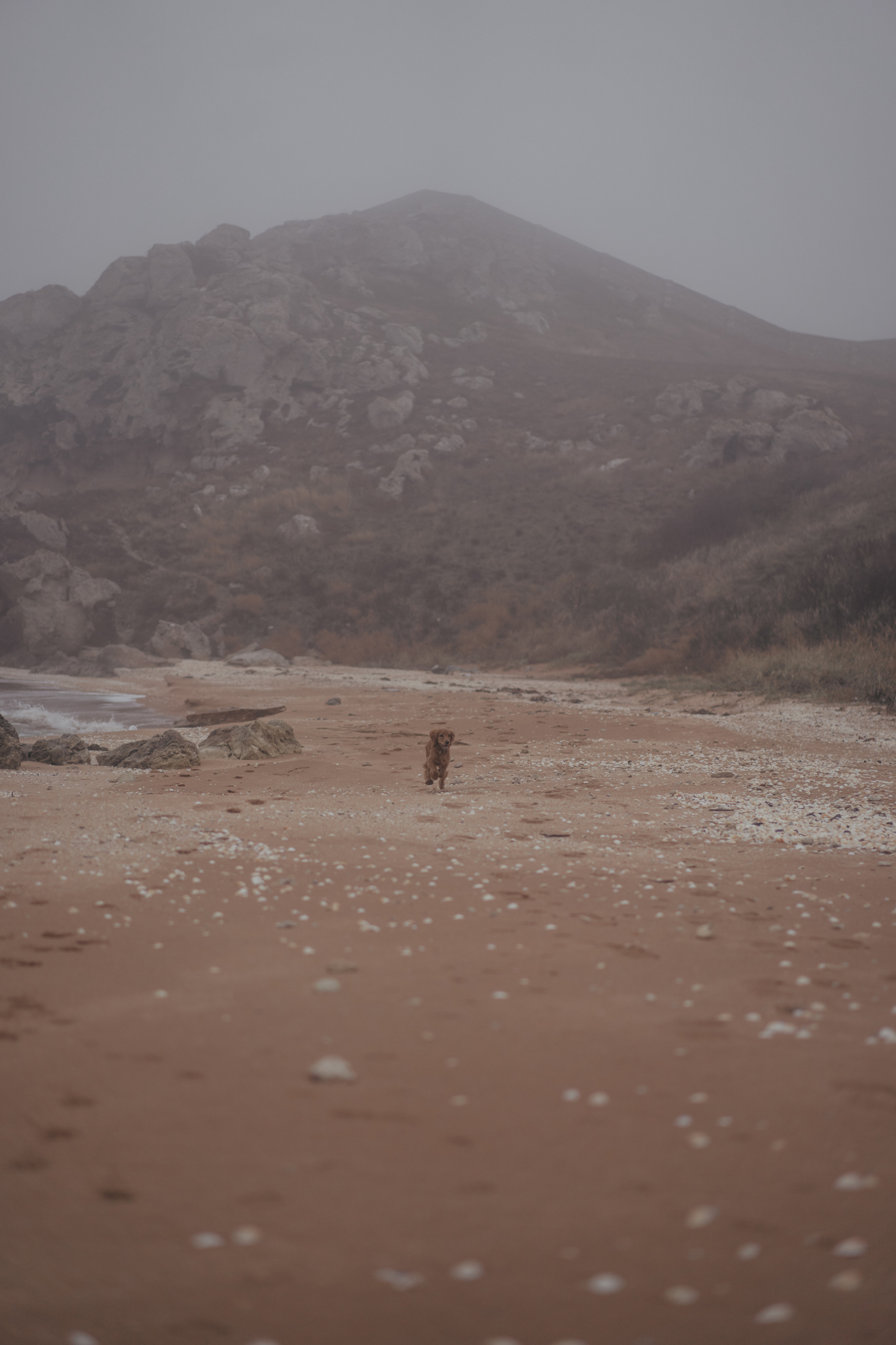 Ноябрьский Крым. Фотограф Дарья Филатова