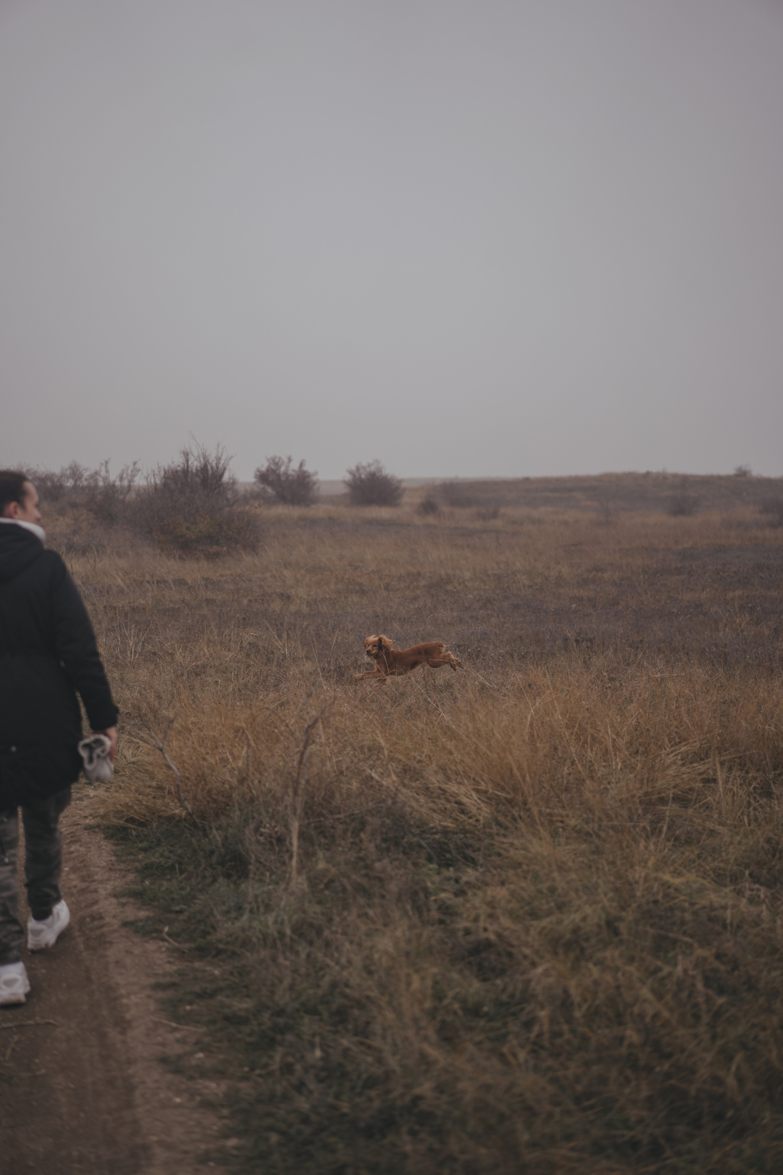 Ноябрьский Крым. Фотограф Дарья Филатова