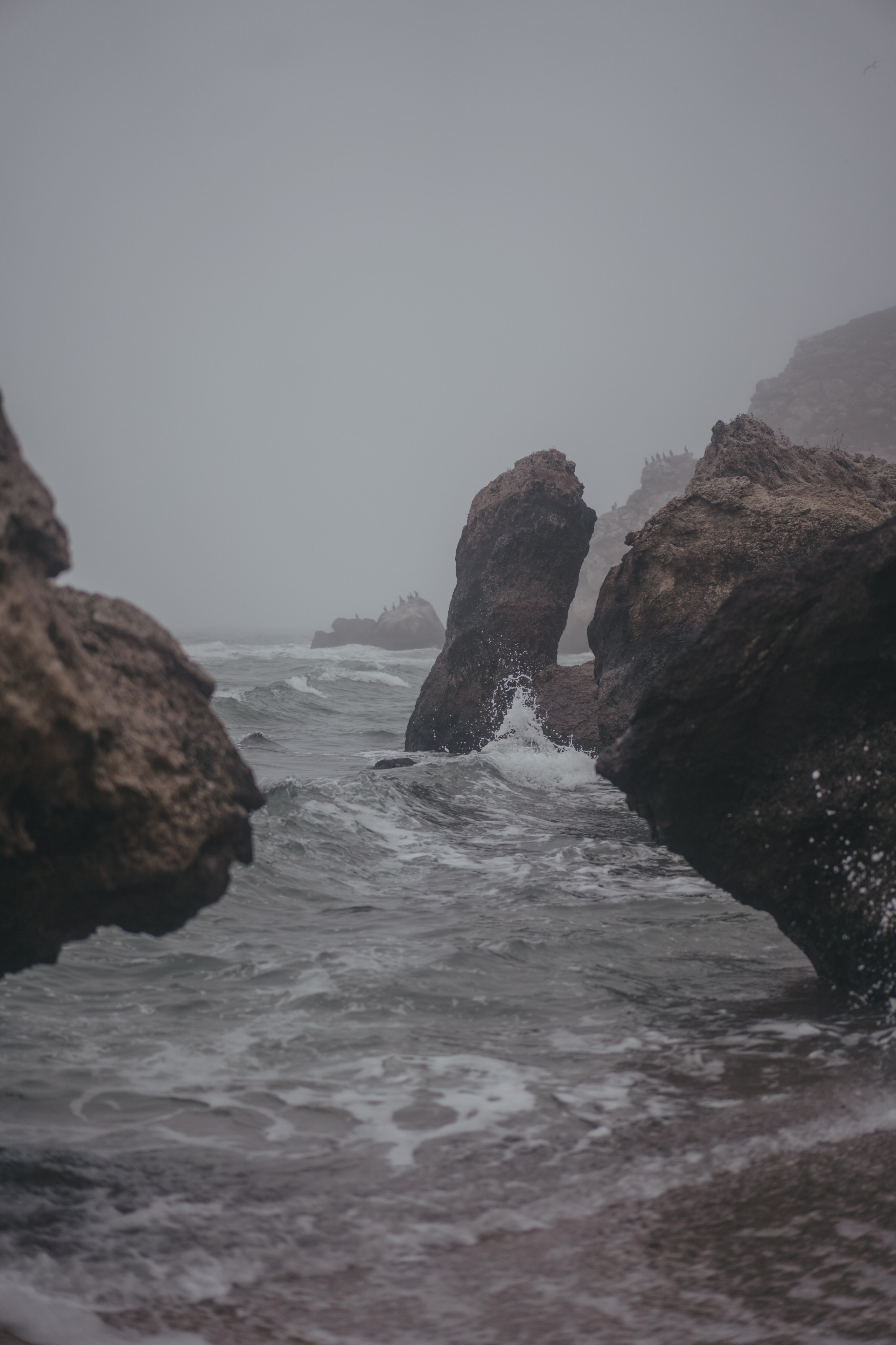 Ноябрьский Крым. Фотограф Дарья Филатова