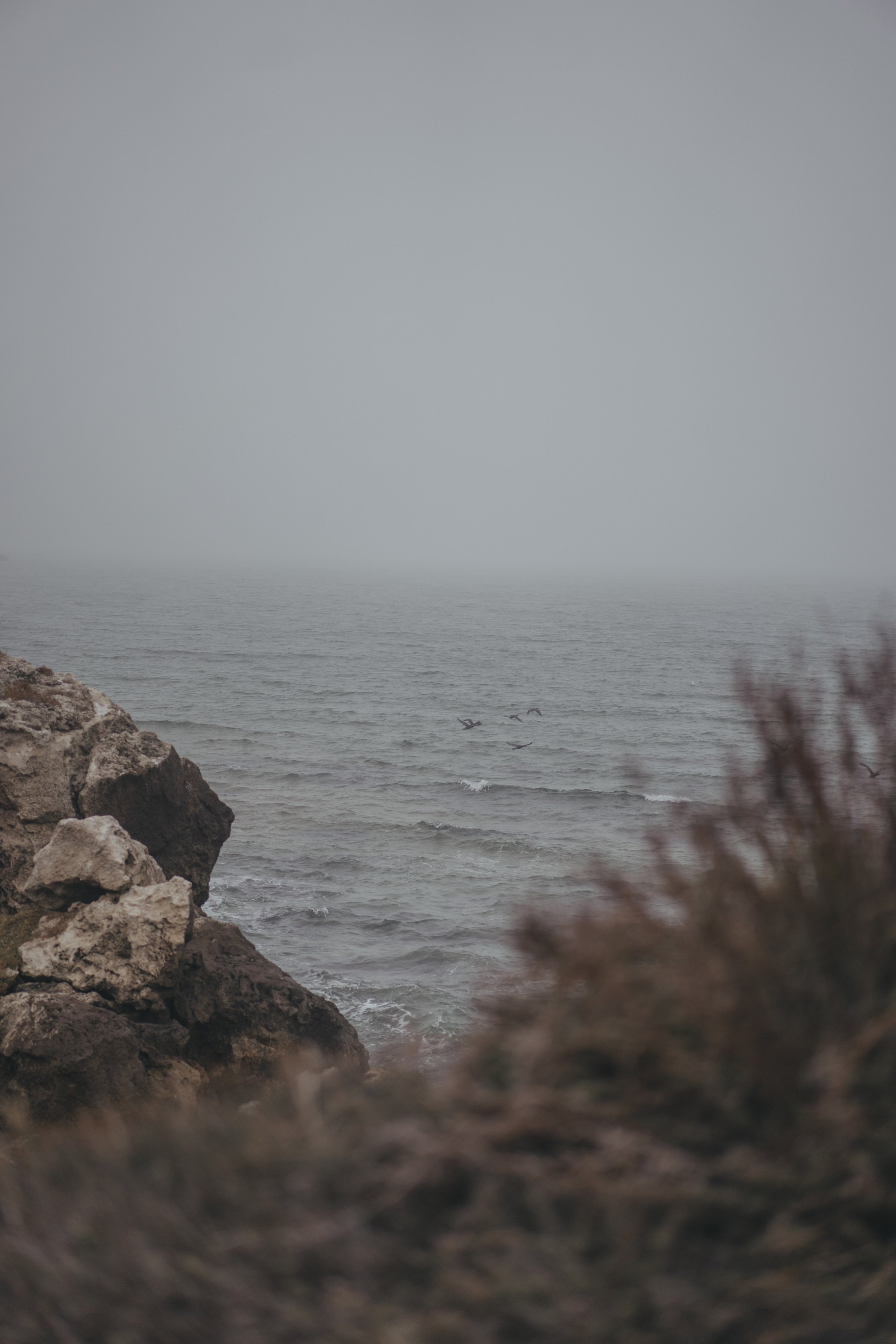 Ноябрьский Крым. Фотограф Дарья Филатова