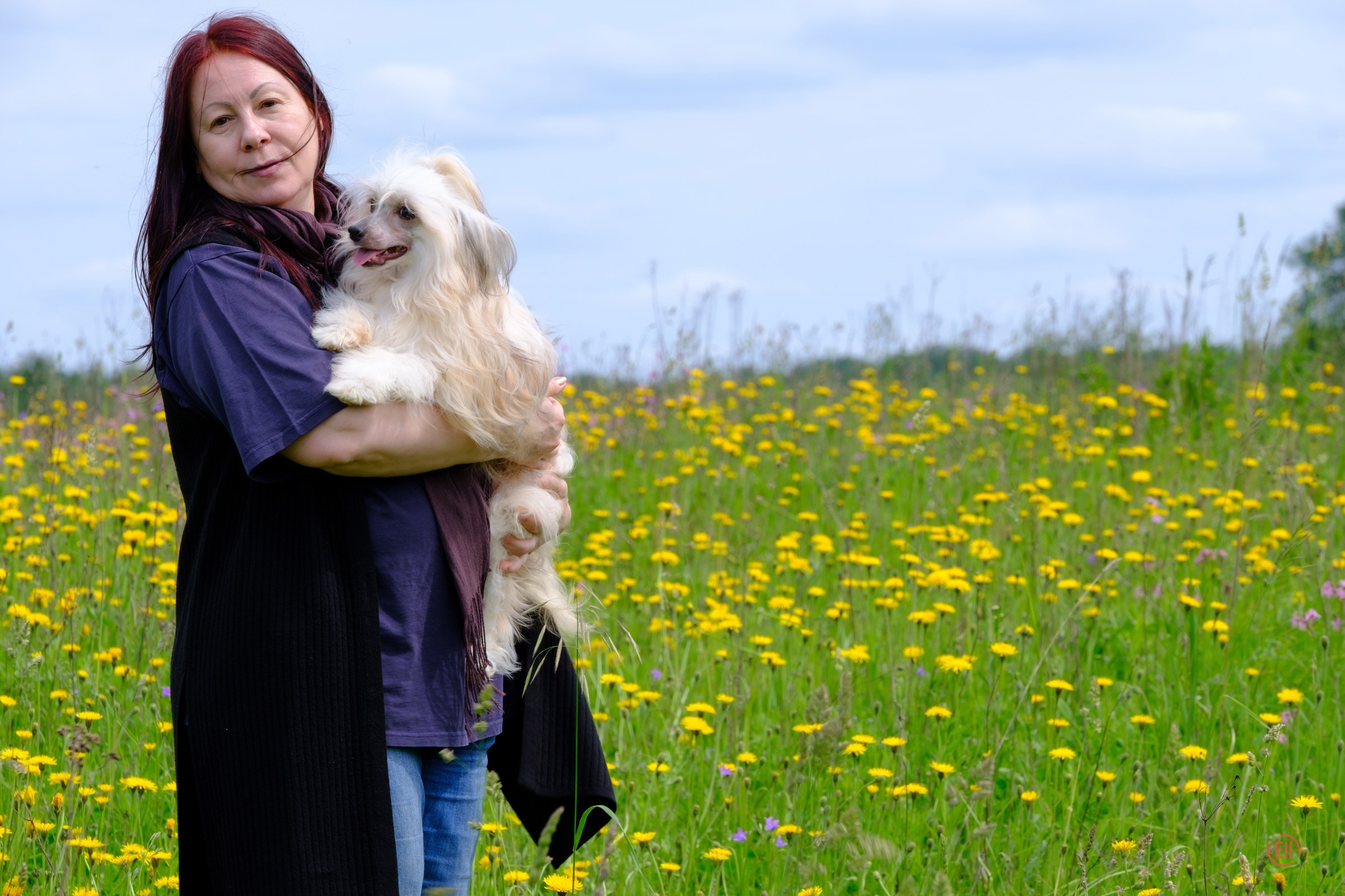 Просто в поле. Питомник китайских хохлатых собак Poale Ell: купить щенка
