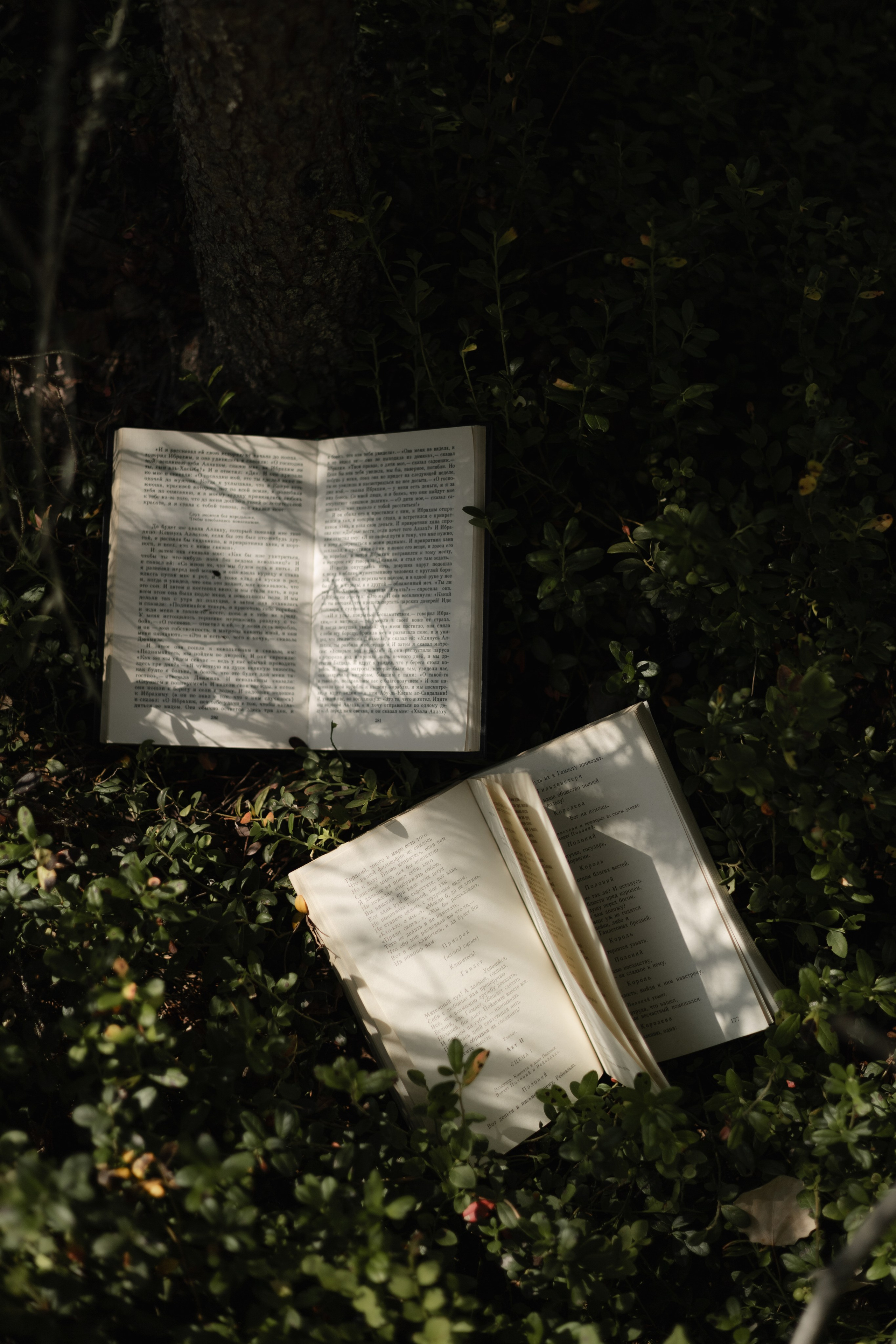 Свадьба в Сыктывкаре. Мария Чистякова | Фотограф Котлас