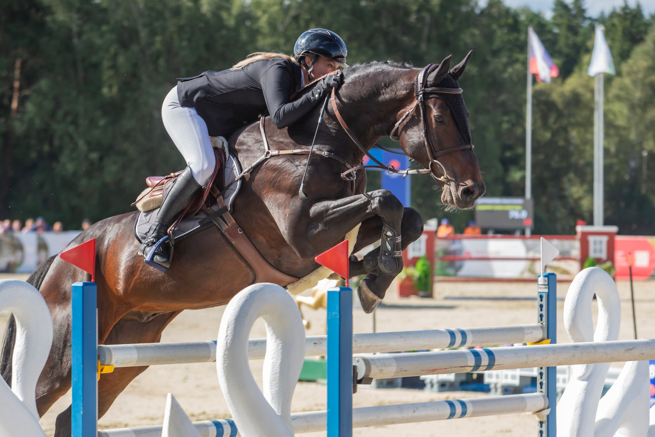 Чемпионат России по конкуру 2024. Семейный и детский фотограф в Москве и МО — Александра