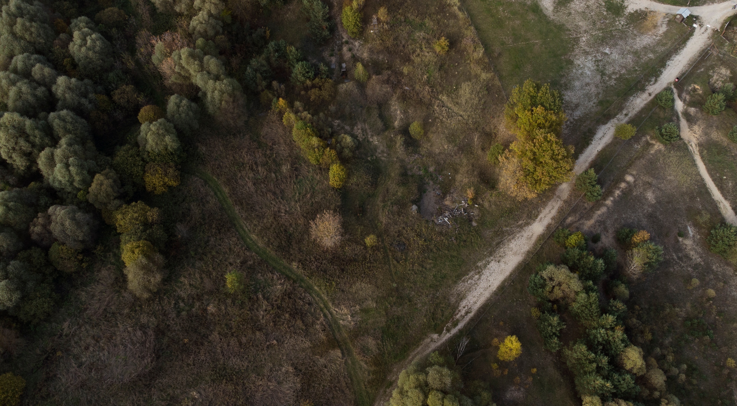 Вид сверху. Свадебный фотограф Колесников Антон
