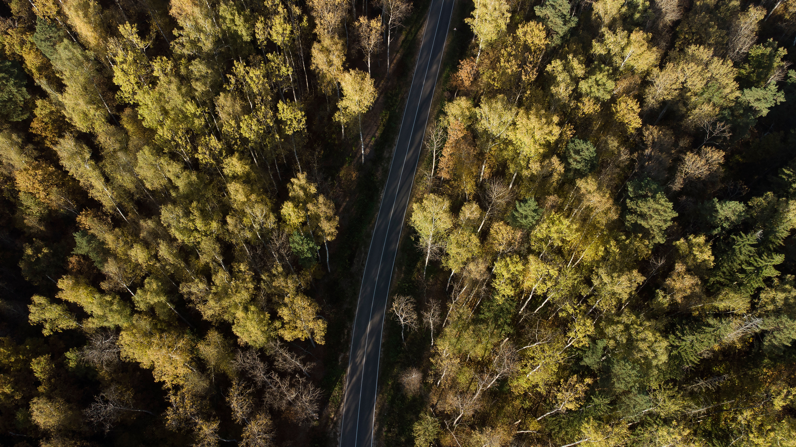 Вид сверху. Свадебный фотограф Колесников Антон