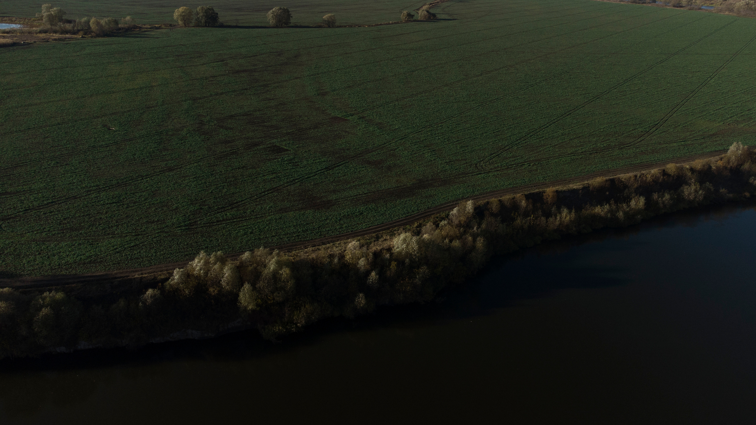 Вид сверху. Свадебный фотограф Колесников Антон
