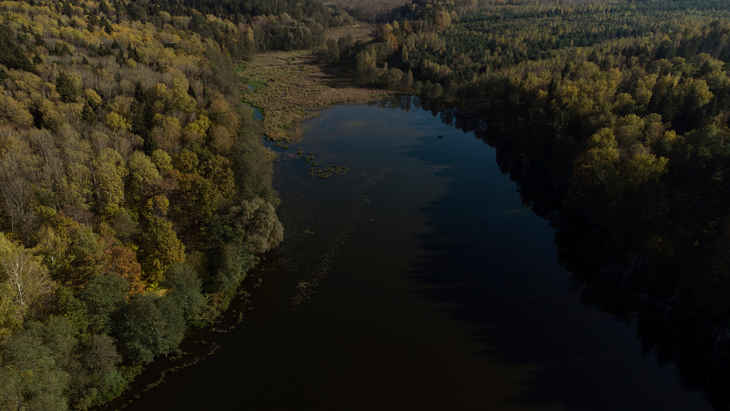 Вид сверху. Свадебный фотограф Колесников Антон