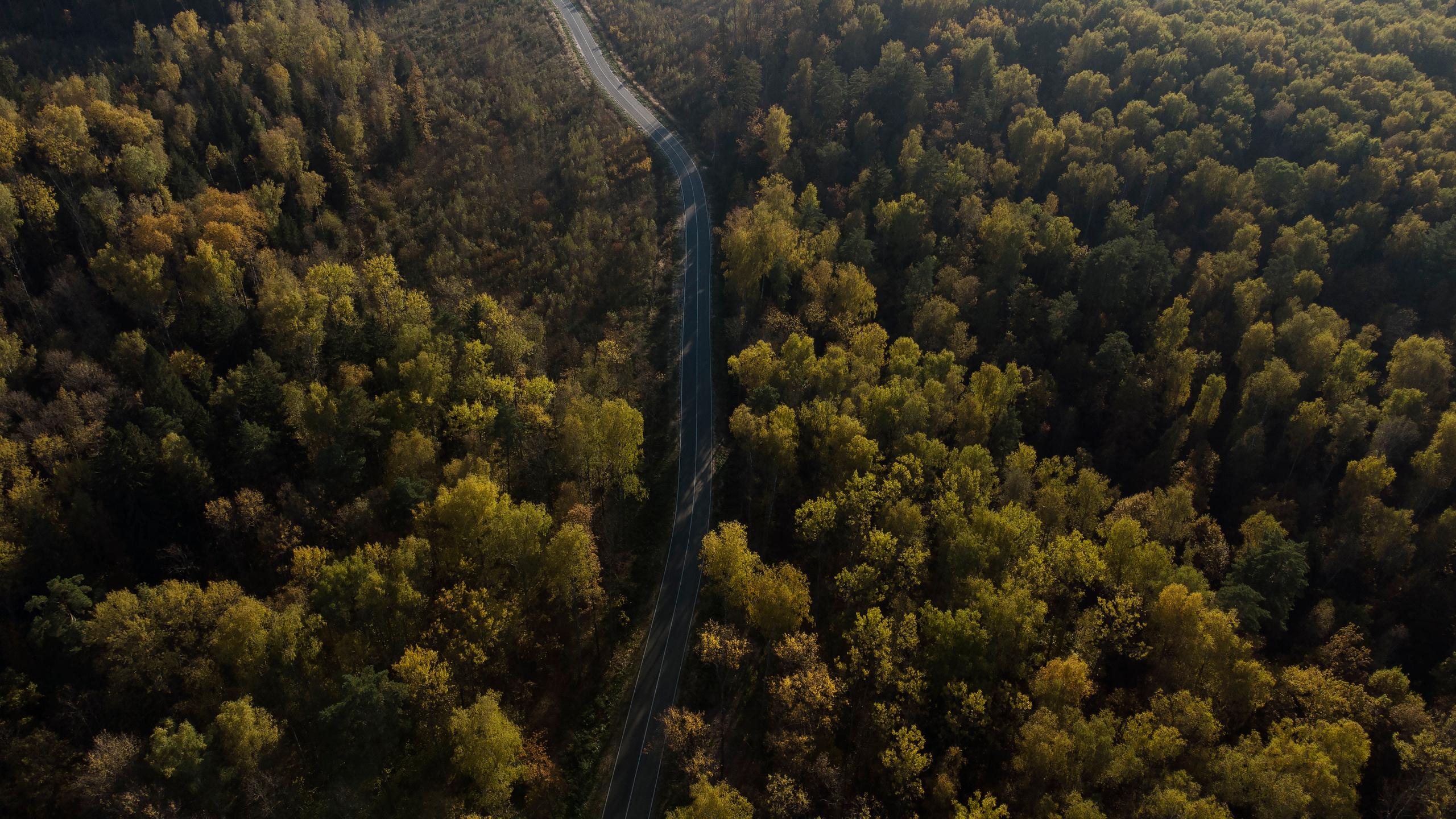 Вид сверху. Свадебный фотограф Колесников Антон