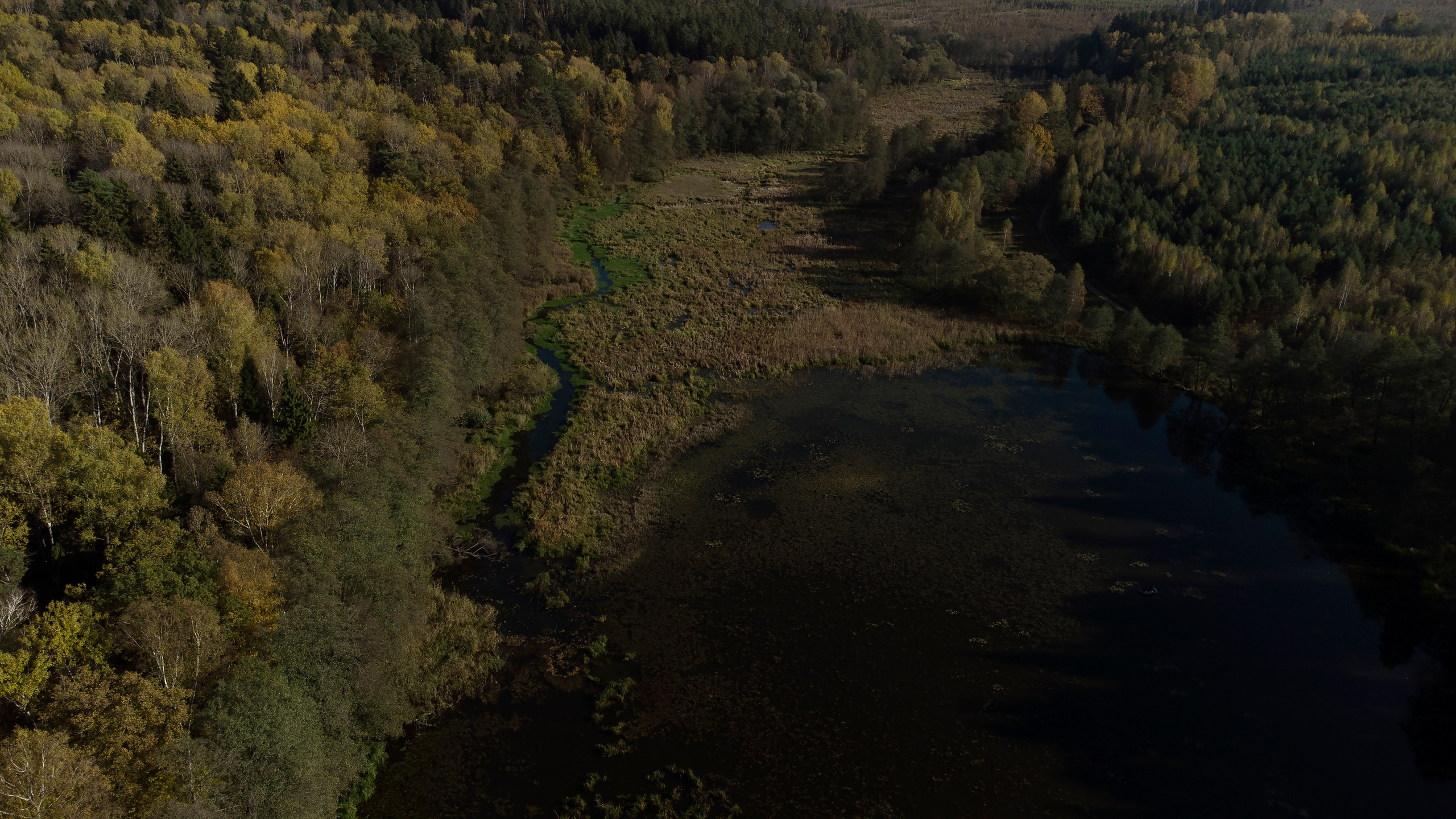 Вид сверху. Свадебный фотограф Колесников Антон