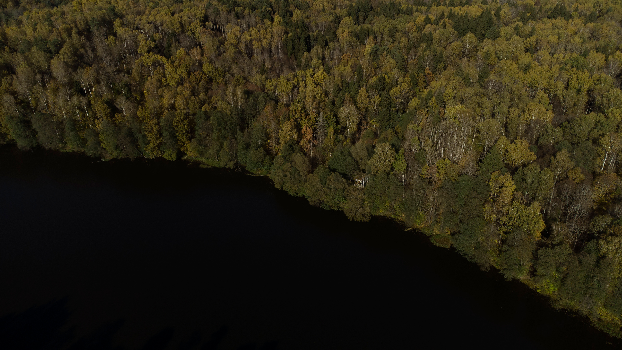 Вид сверху. Свадебный фотограф Колесников Антон