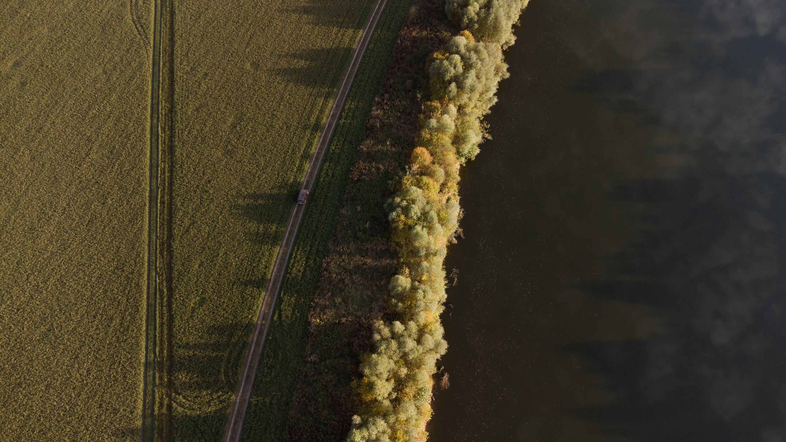 Вид сверху. Свадебный фотограф Колесников Антон