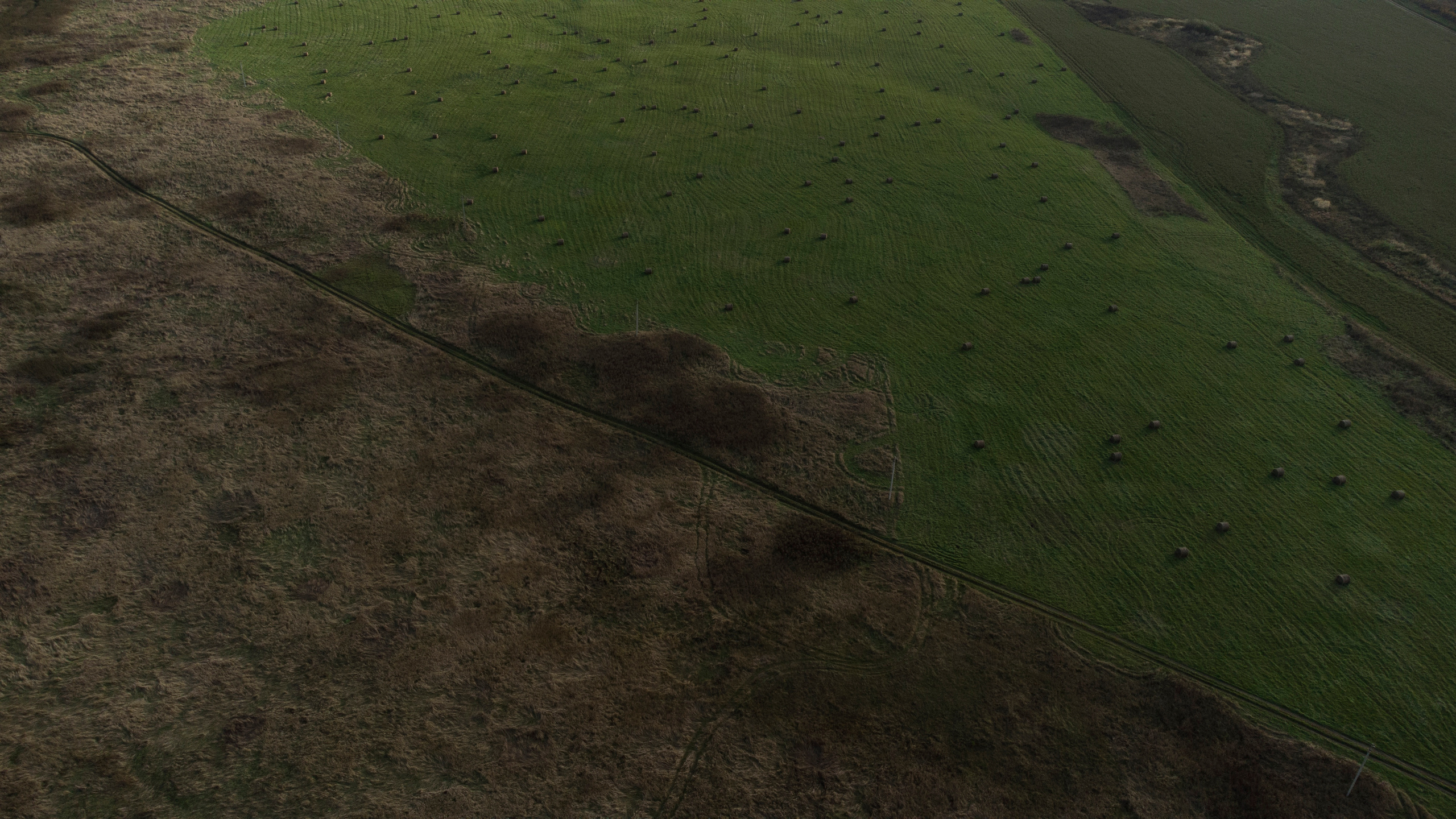 Вид сверху. Свадебный фотограф Колесников Антон