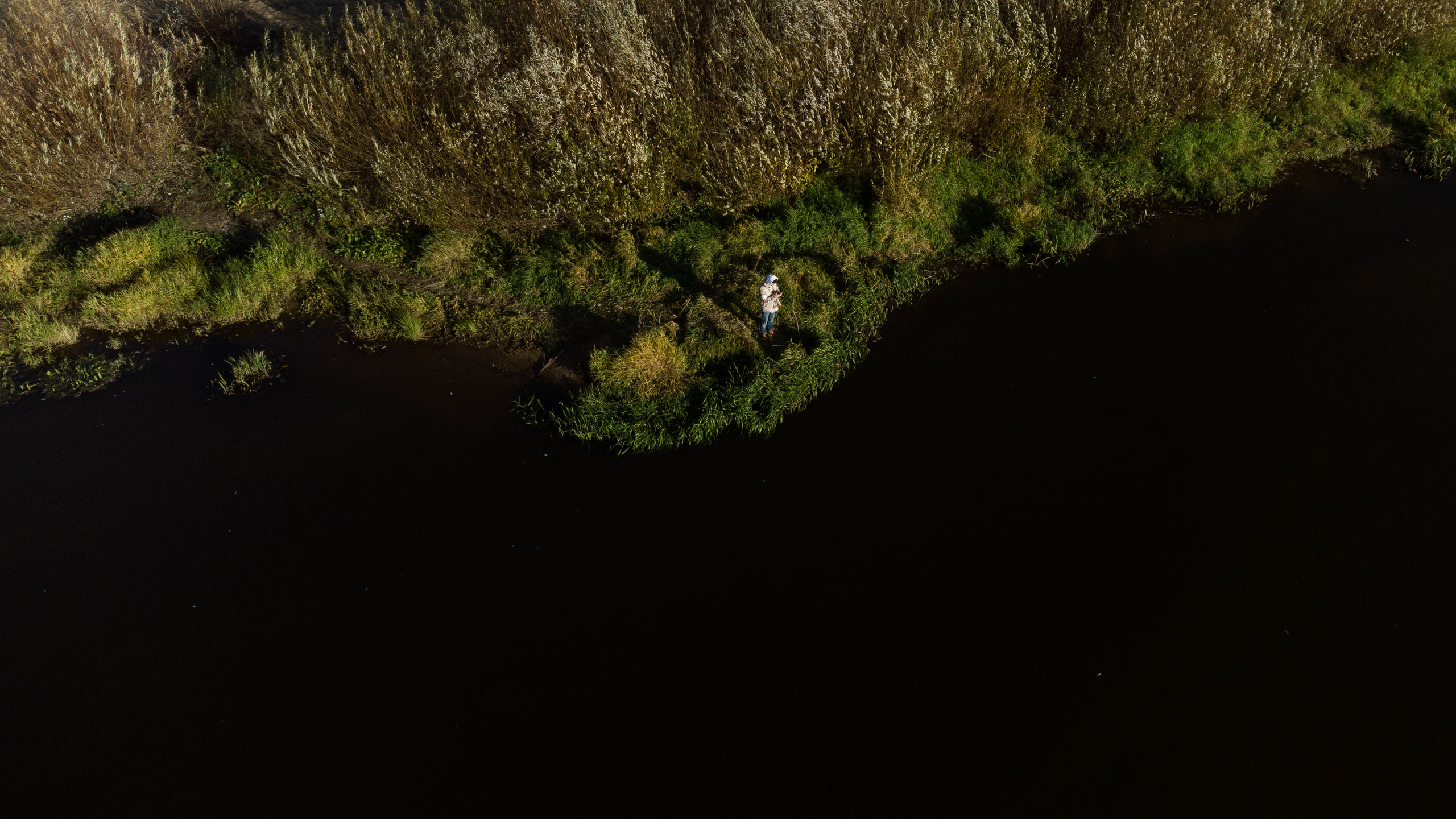 Вид сверху. Свадебный фотограф Колесников Антон