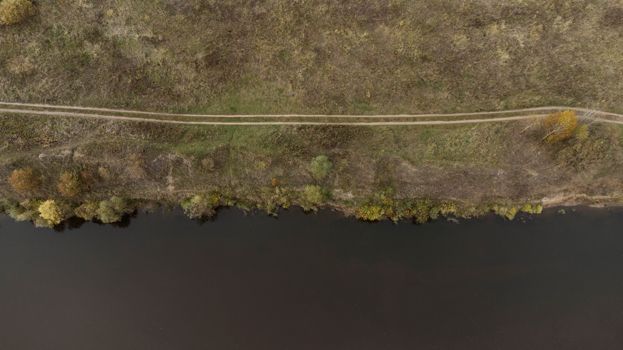 Вид сверху. Свадебный фотограф Колесников Антон