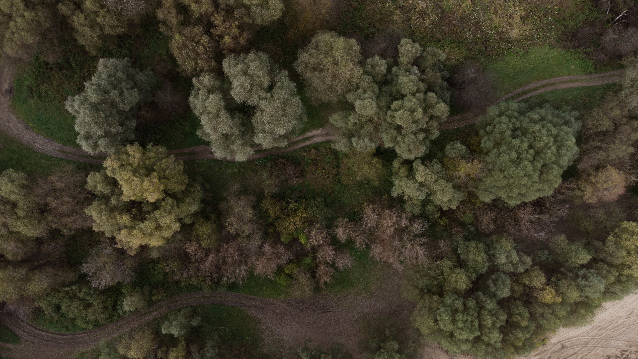 Вид сверху. Свадебный фотограф Колесников Антон